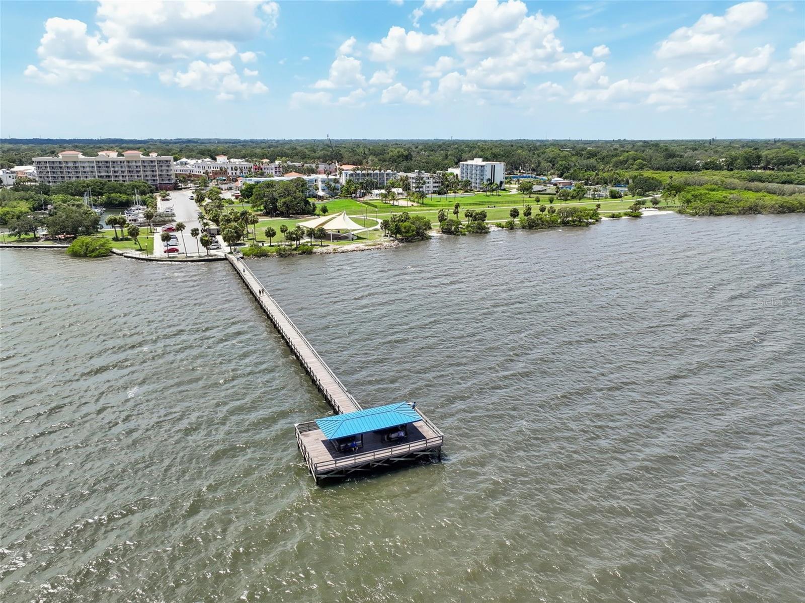 1505 CEDAR ST, SAFETY HARBOR, FL, 34695