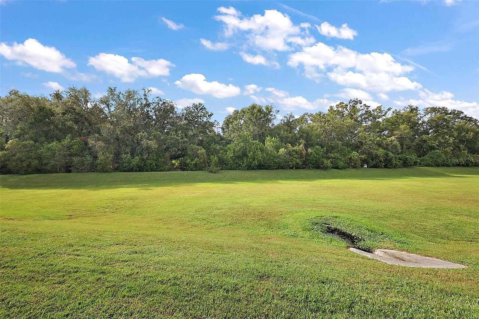 16954 SE 109TH AVE, SUMMERFIELD, FL, 34491