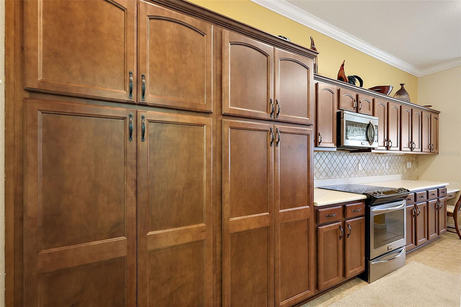 16954 SE 109TH AVE, SUMMERFIELD, FL, 34491