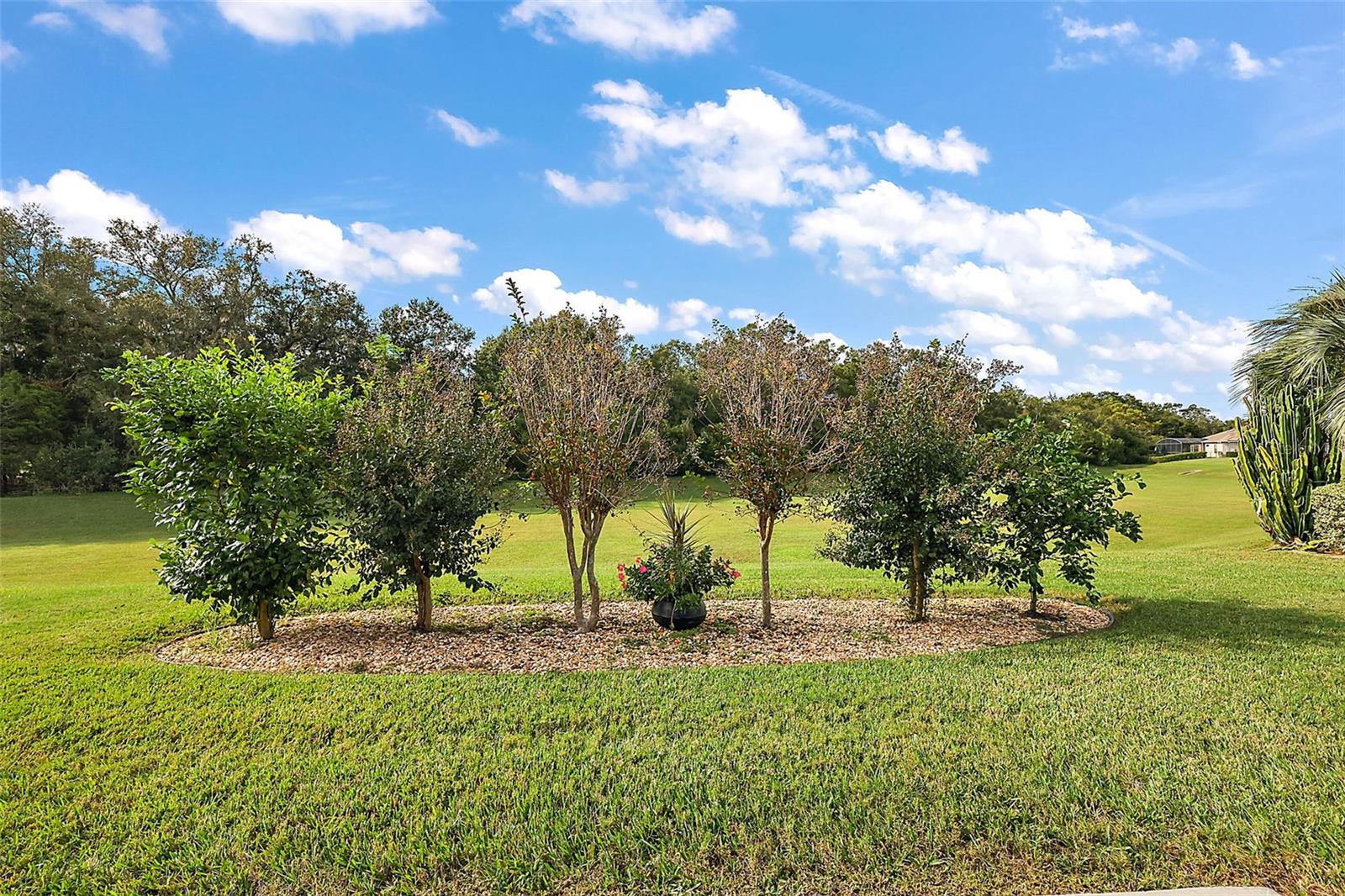 16954 SE 109TH AVE, SUMMERFIELD, FL, 34491