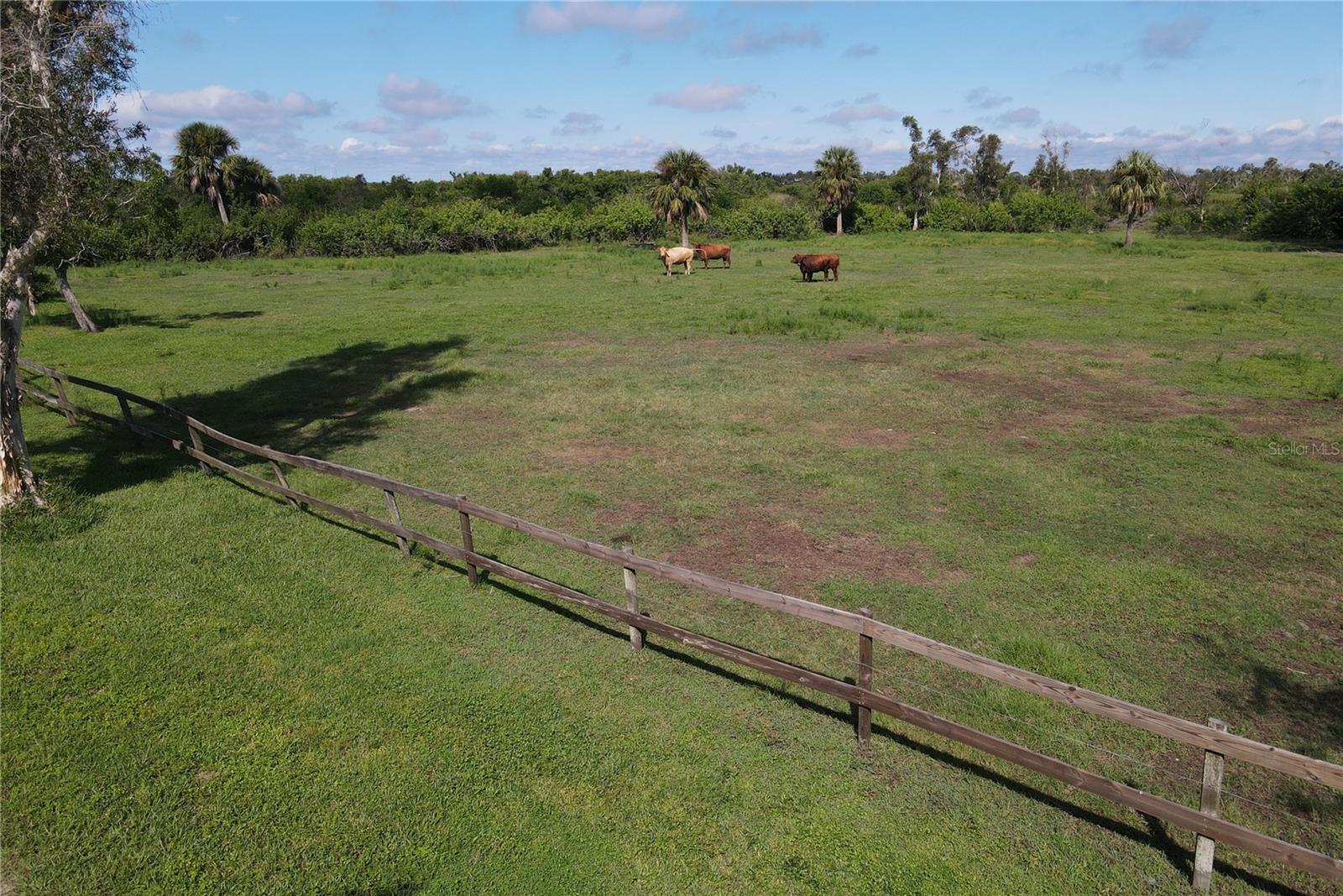 3395 DUNCAN RD, PUNTA GORDA, FL, 33982