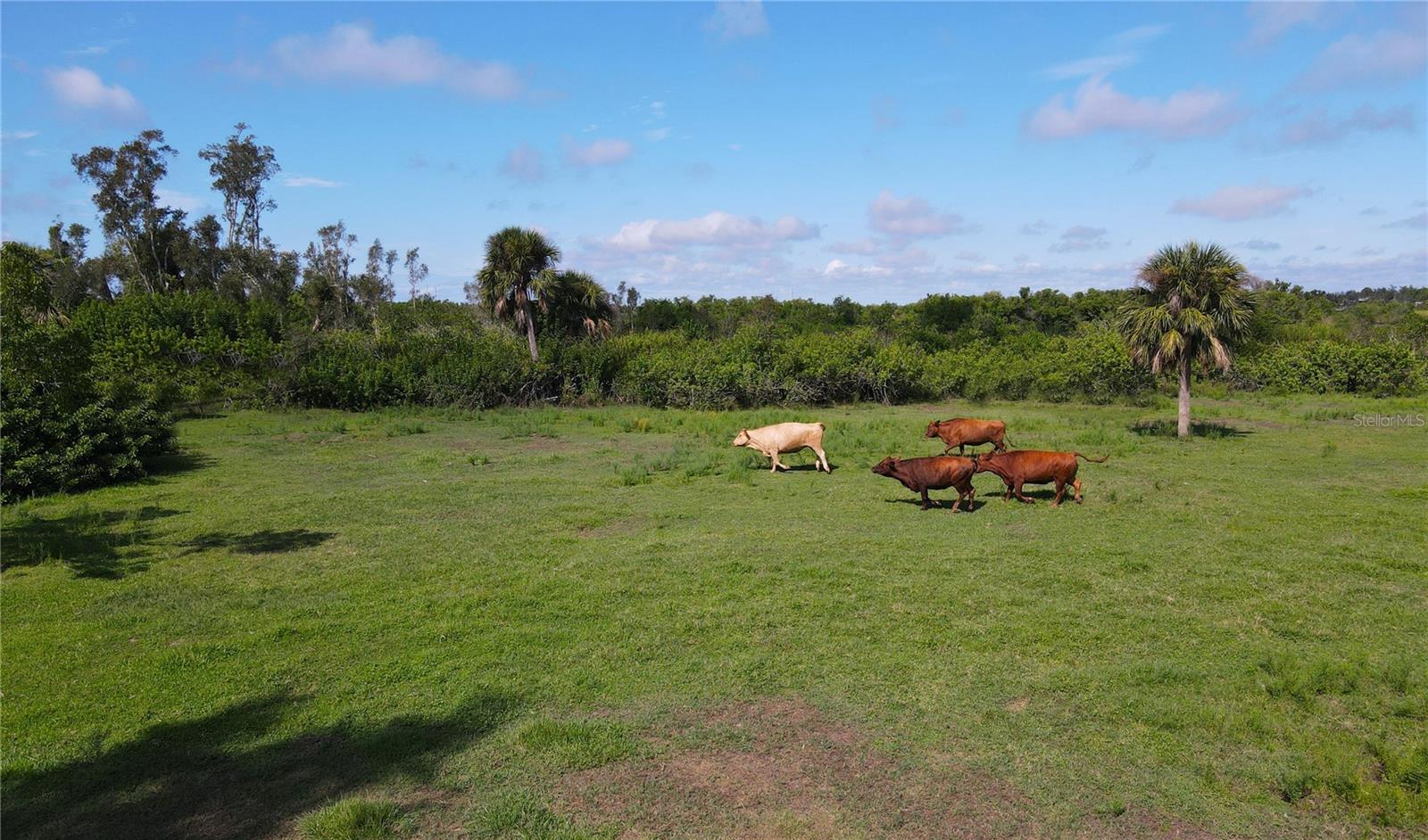 3395 DUNCAN RD, PUNTA GORDA, FL, 33982