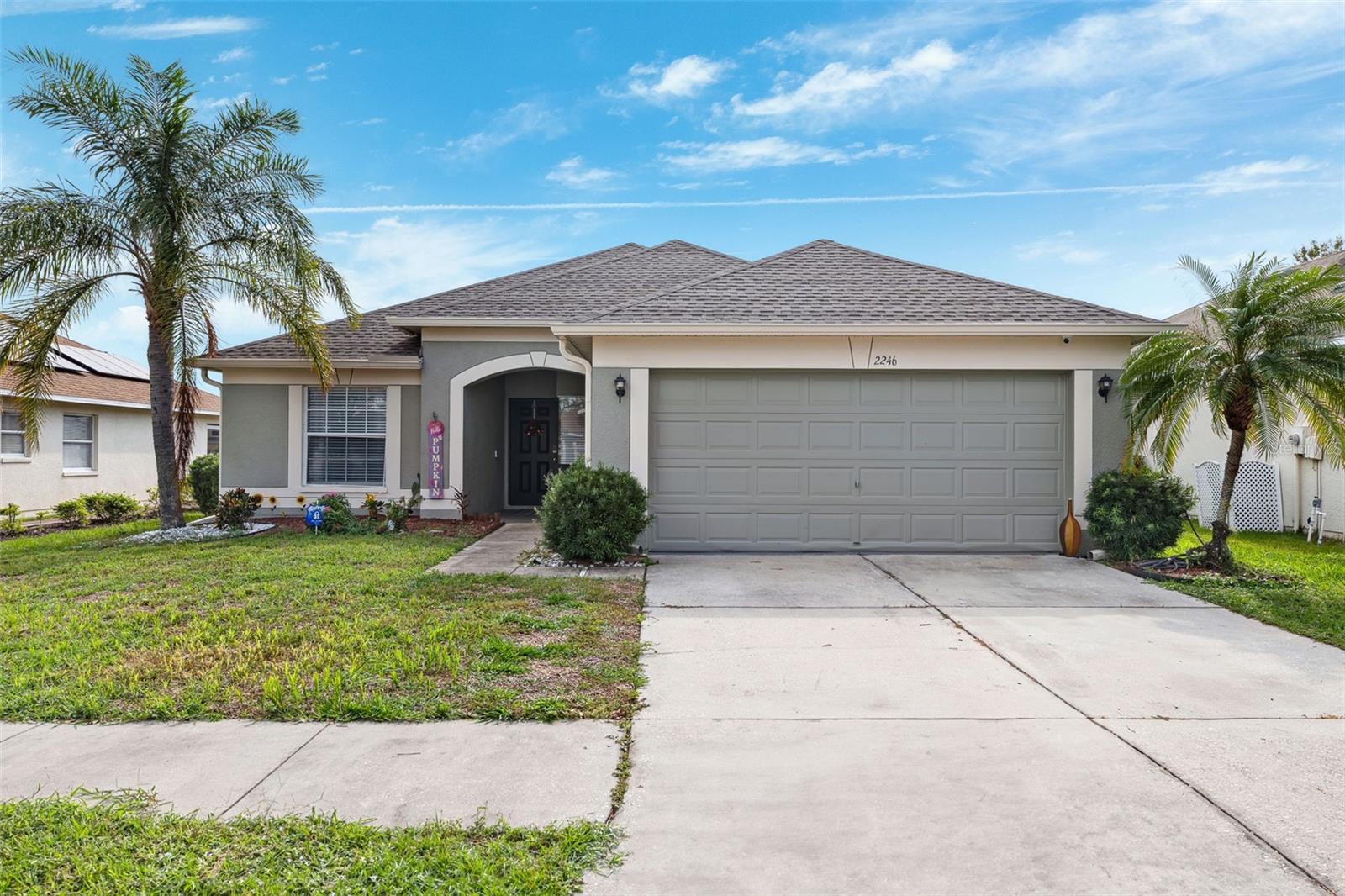 2246 ROANOKE SPRINGS DR, RUSKIN, FL, 33570