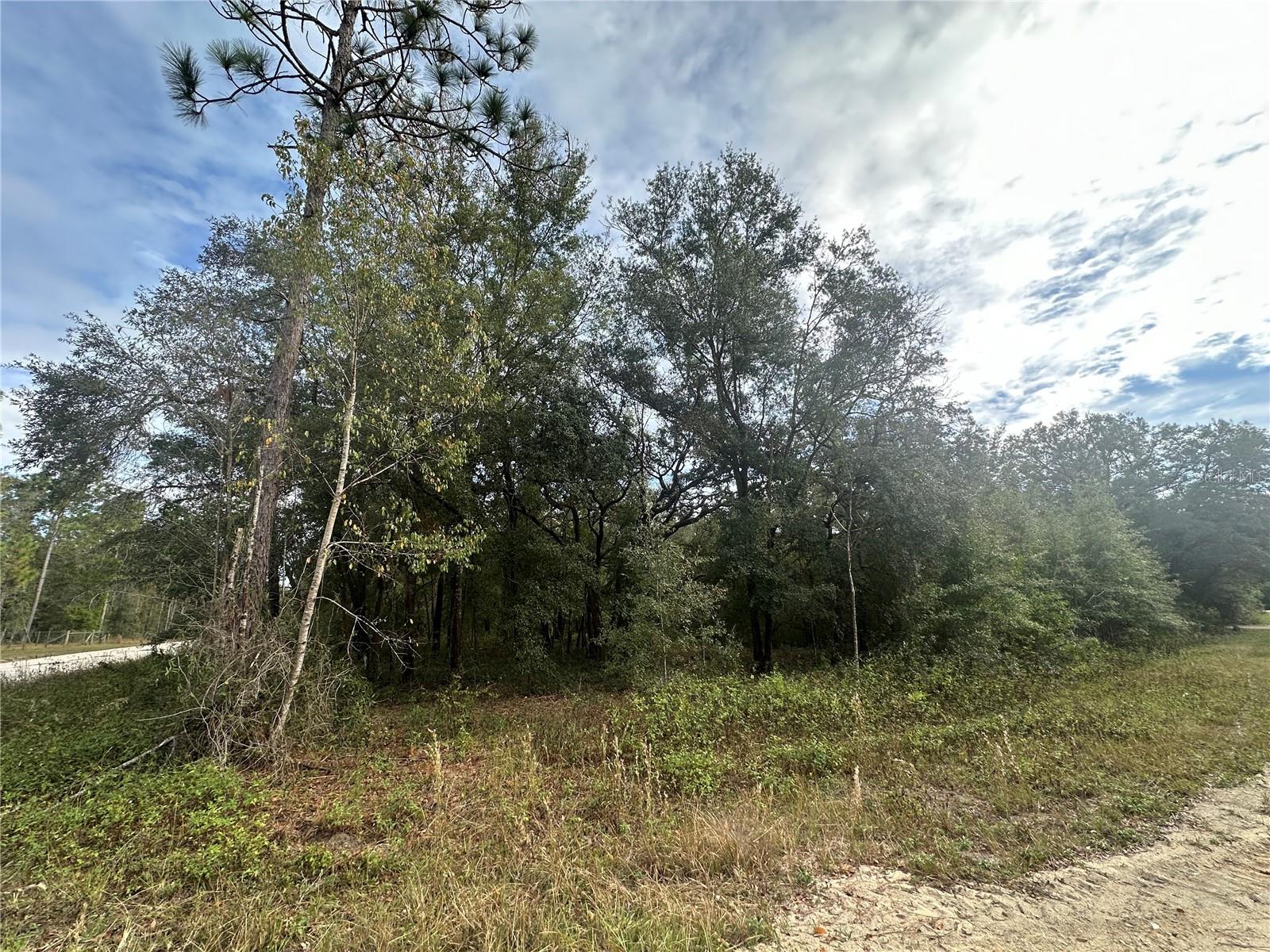 TBD NE 136TH TER, WILLISTON, FL, 32696