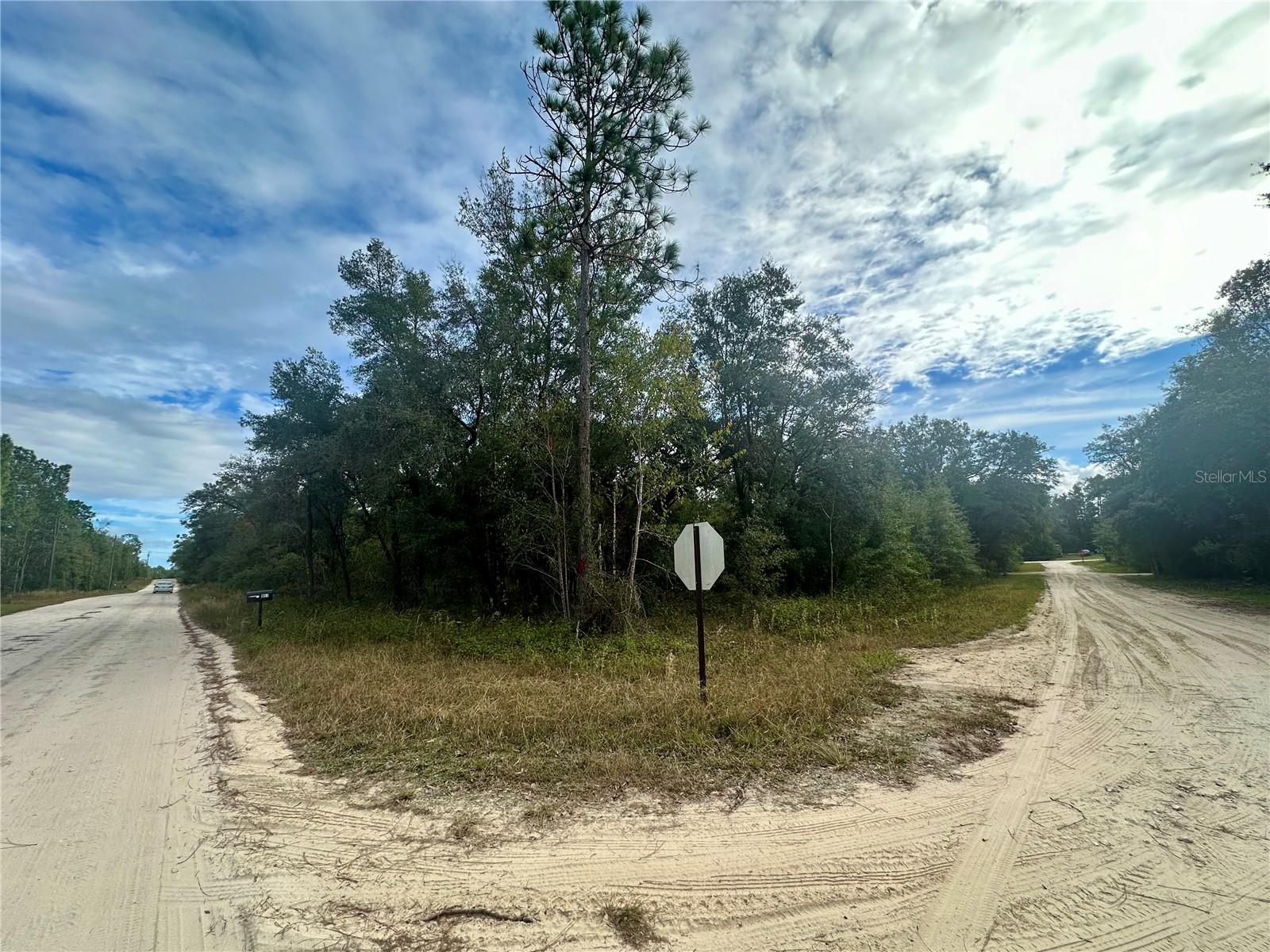 TBD NE 136TH TER, WILLISTON, FL, 32696