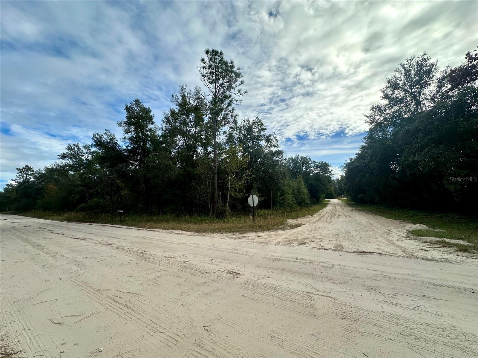 TBD NE 136TH TER, WILLISTON, FL, 32696