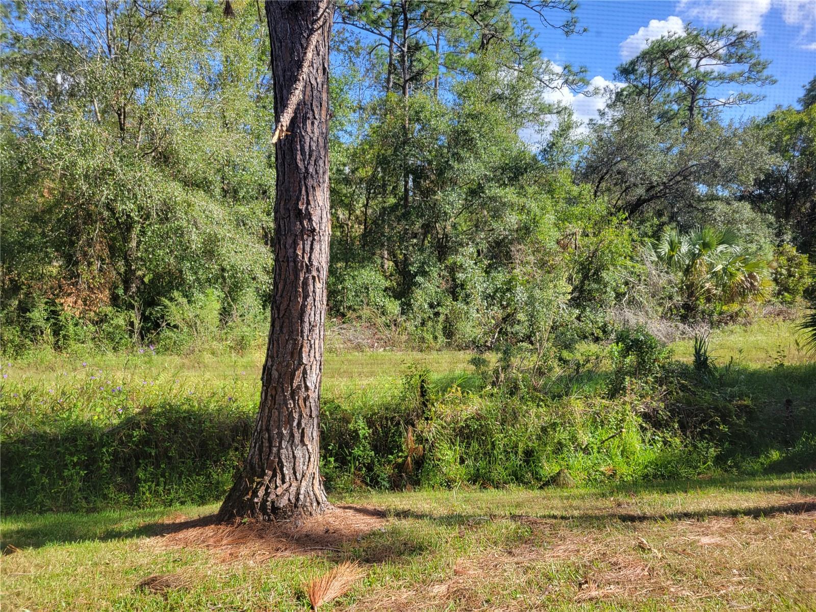 8661 HUNTERS KEY, TAMPA, FL, 33647