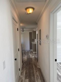 117 6TH ST, NEW SMYRNA BEACH, FL, 32168