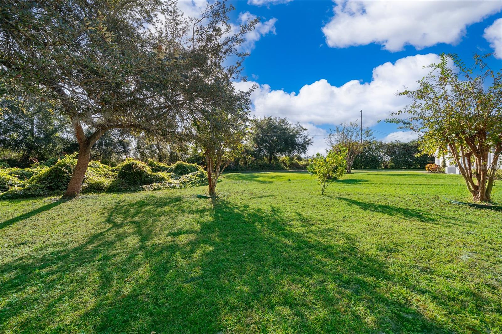 709 LAKE EMERALD AVE, ORANGE CITY, FL, 32763
