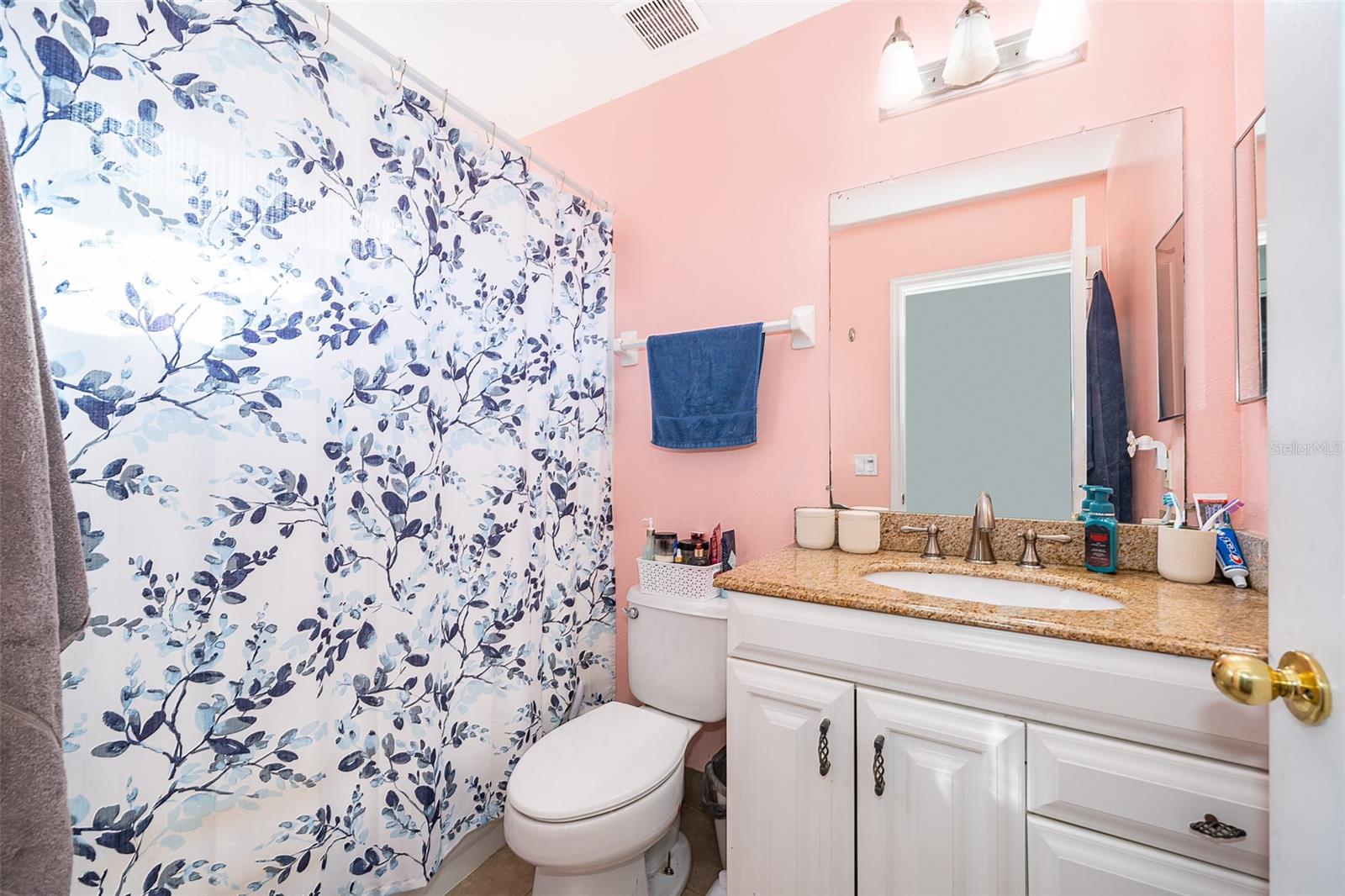709 LAKE EMERALD AVE, ORANGE CITY, FL, 32763