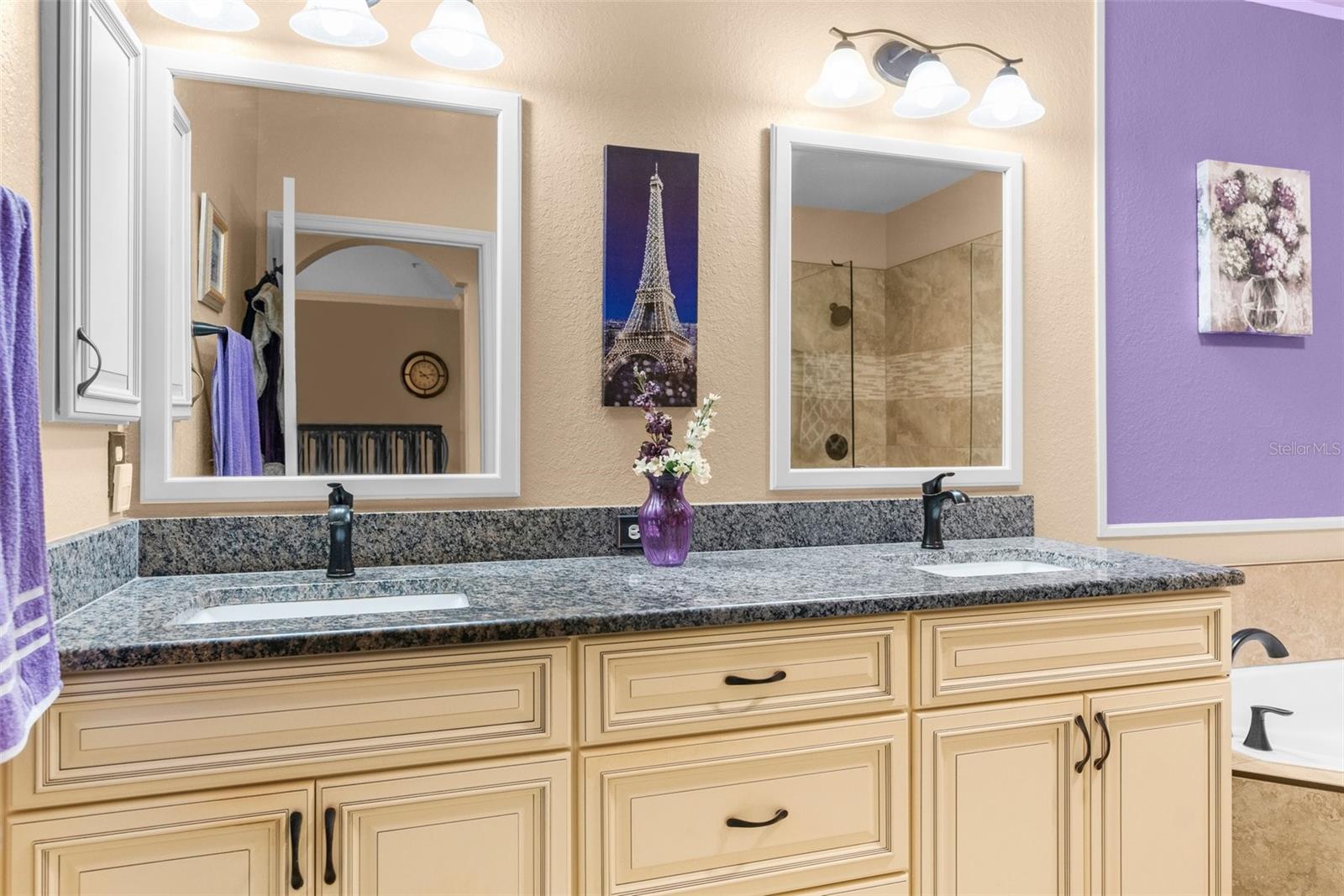 2733 VIA CIPRIANI #815A, CLEARWATER, FL, 33764