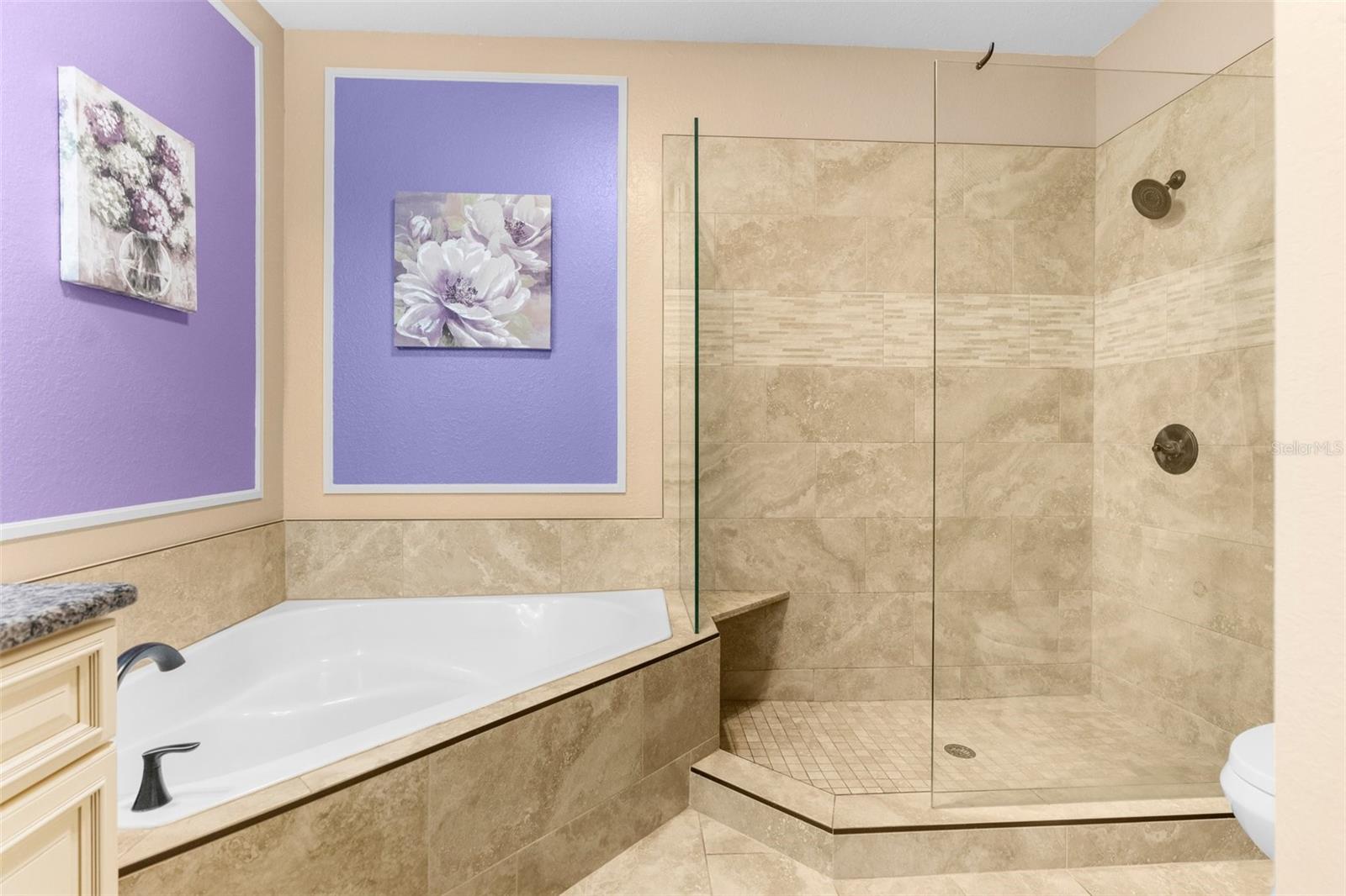 2733 VIA CIPRIANI #815A, CLEARWATER, FL, 33764