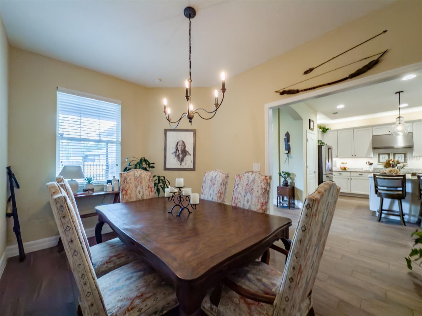 248 VILLA LUNA LN, LUTZ, FL, 33549