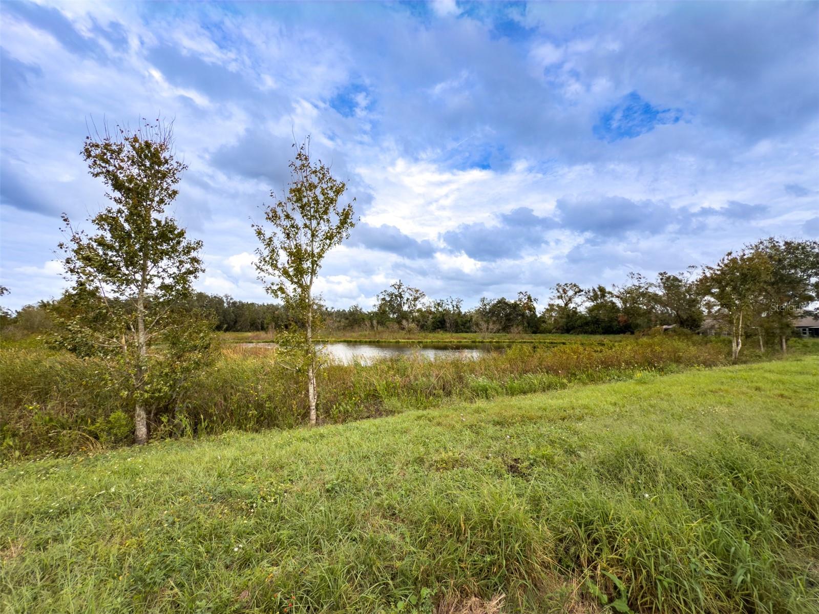 248 VILLA LUNA LN, LUTZ, FL, 33549