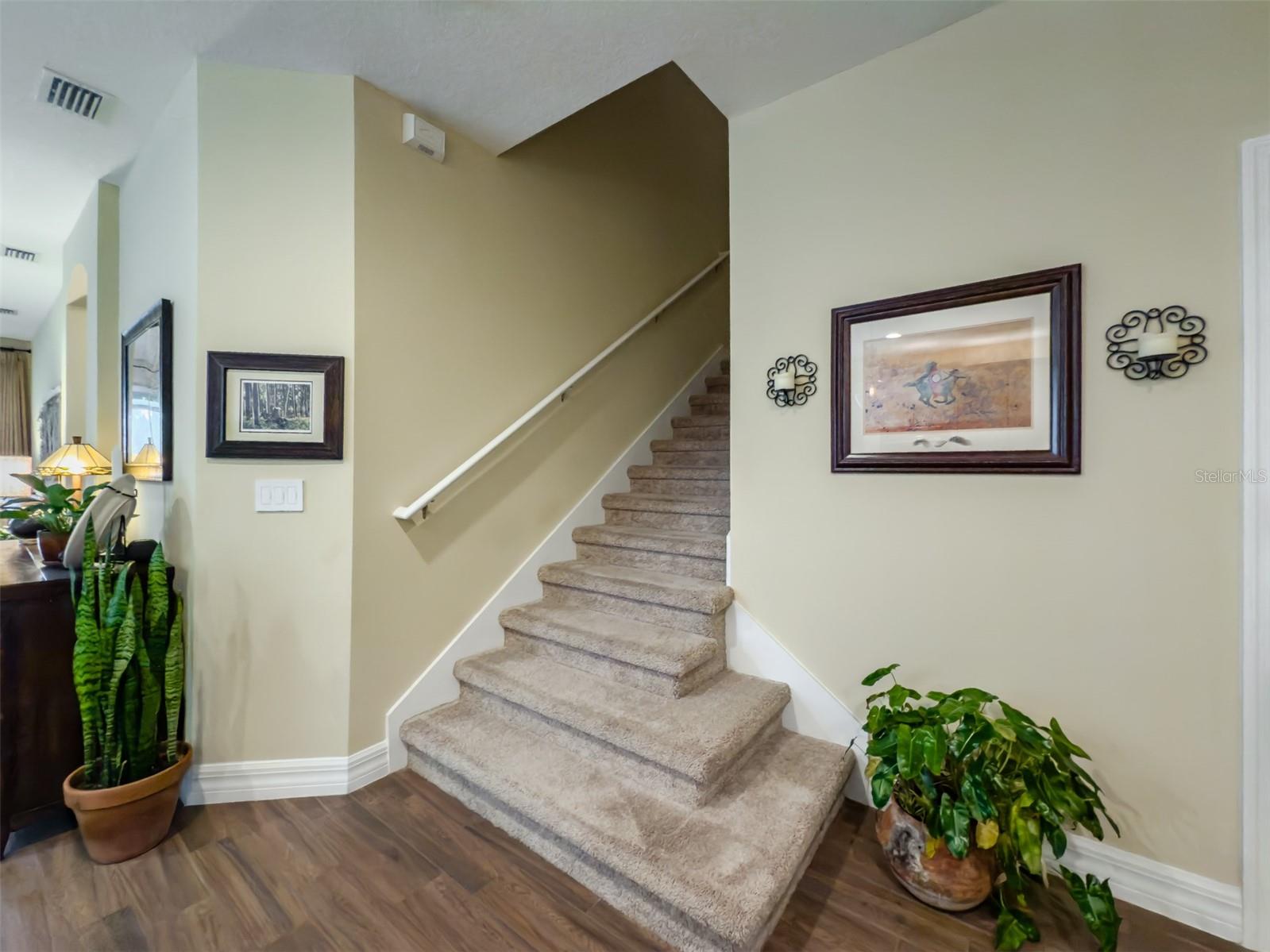 248 VILLA LUNA LN, LUTZ, FL, 33549