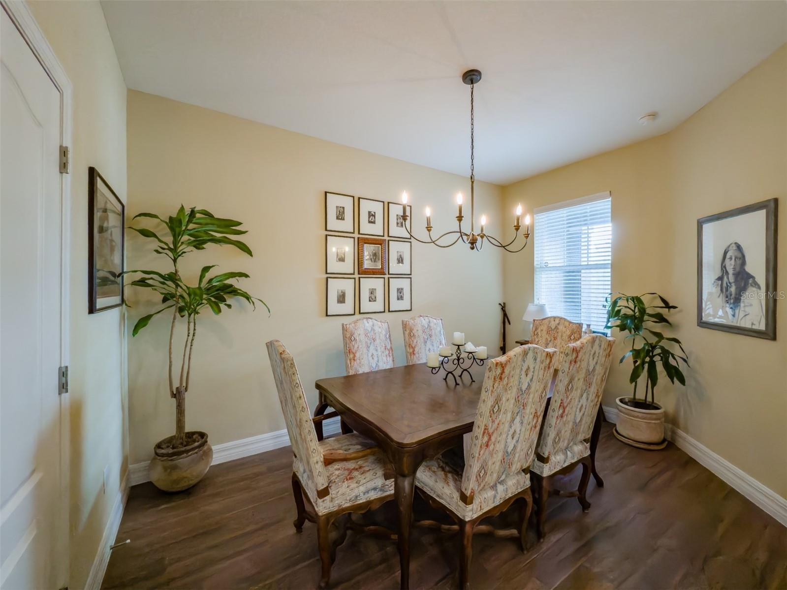 248 VILLA LUNA LN, LUTZ, FL, 33549