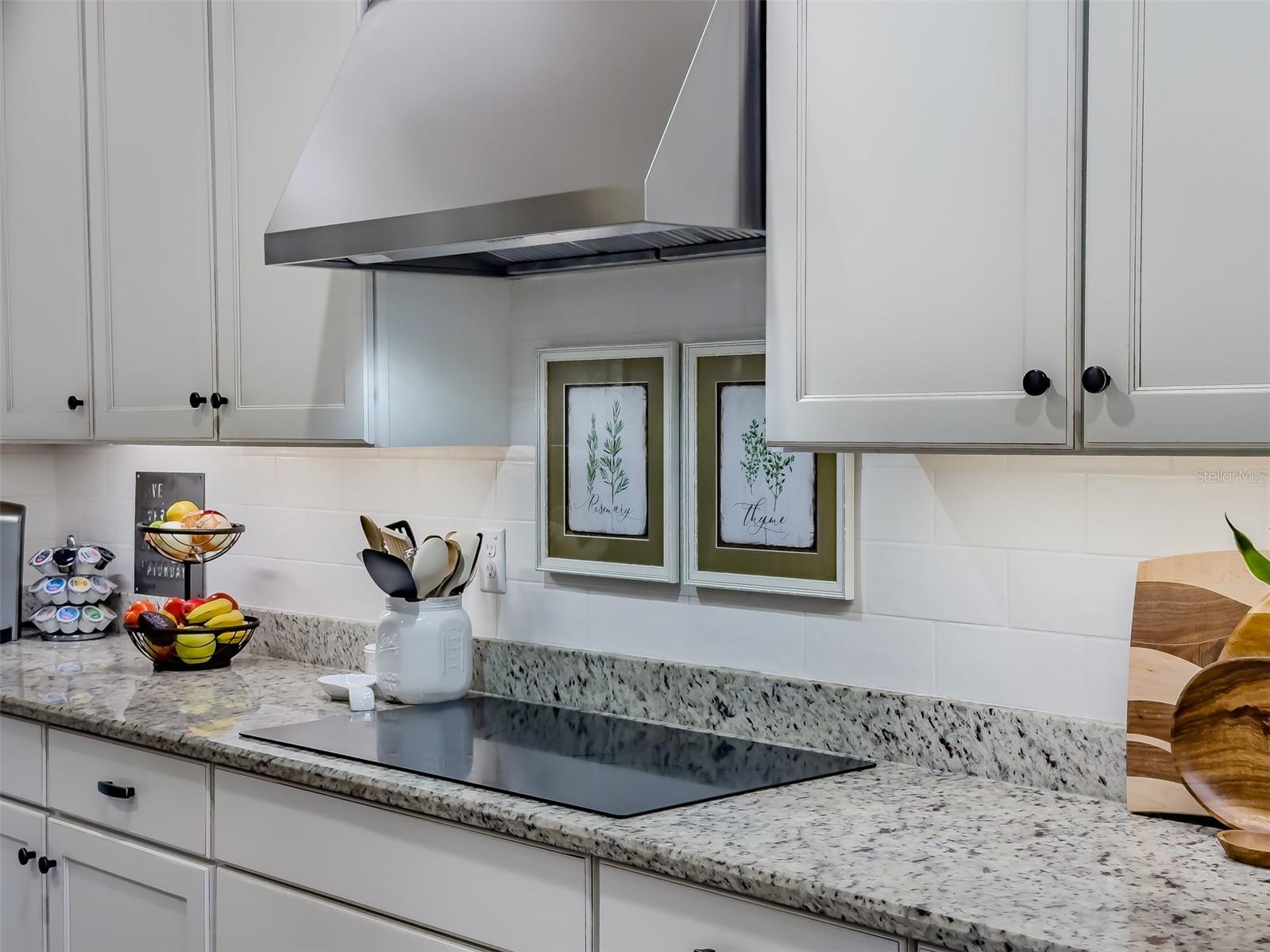 248 VILLA LUNA LN, LUTZ, FL, 33549