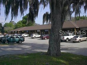 1006 W DR MARTIN LUTHER KING JR BLVD, SEFFNER, FL, 33584