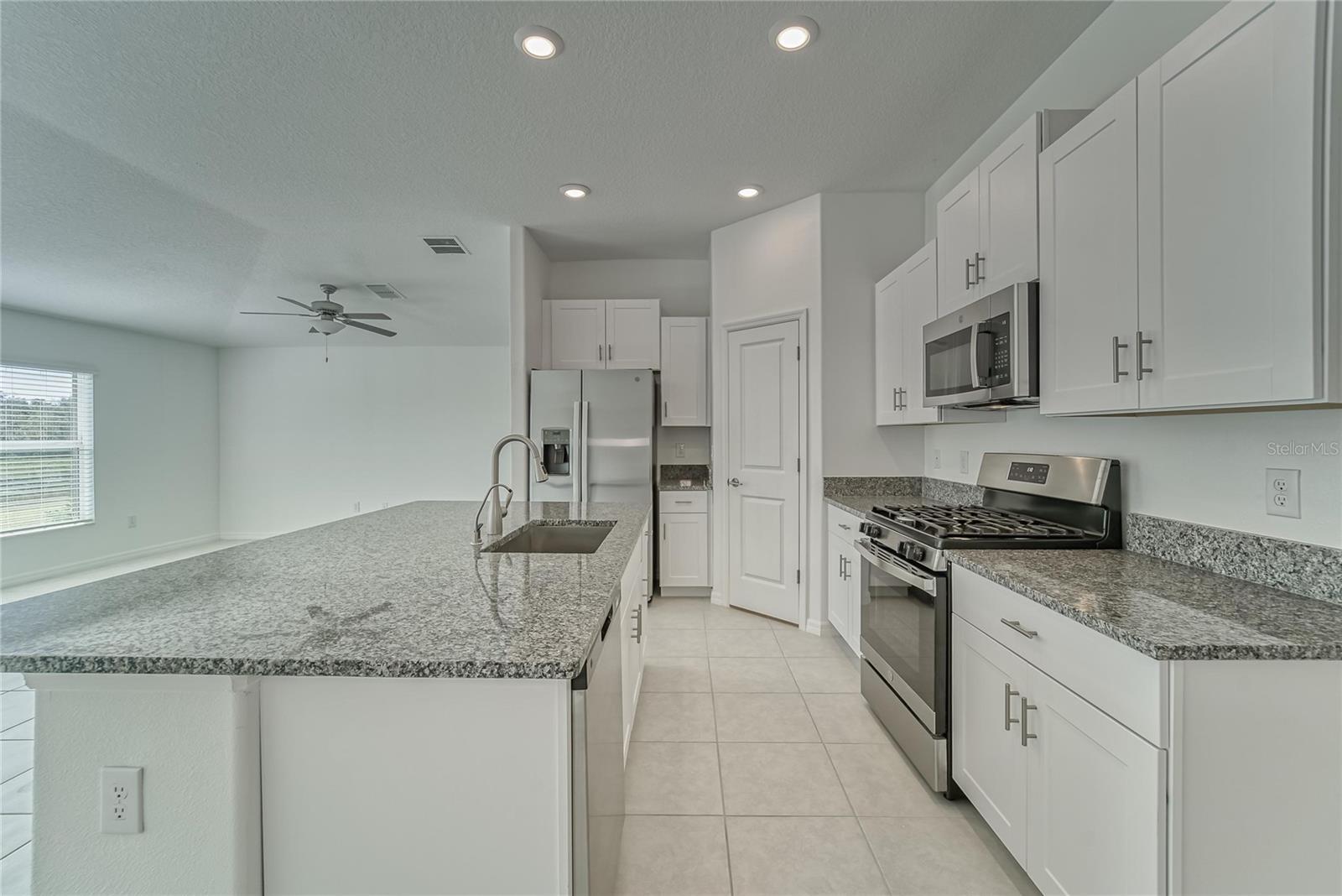 10245 SHADY PRESERVE DR, RIVERVIEW, FL, 33578