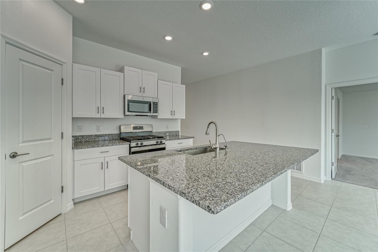 10245 SHADY PRESERVE DR, RIVERVIEW, FL, 33578