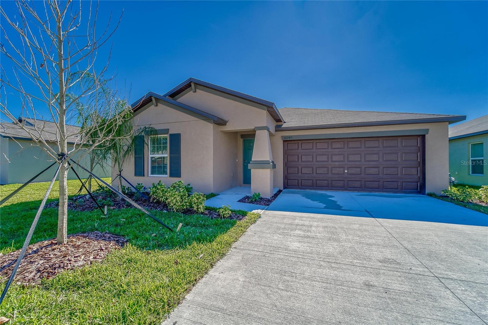 10245 SHADY PRESERVE DR, RIVERVIEW, FL, 33578