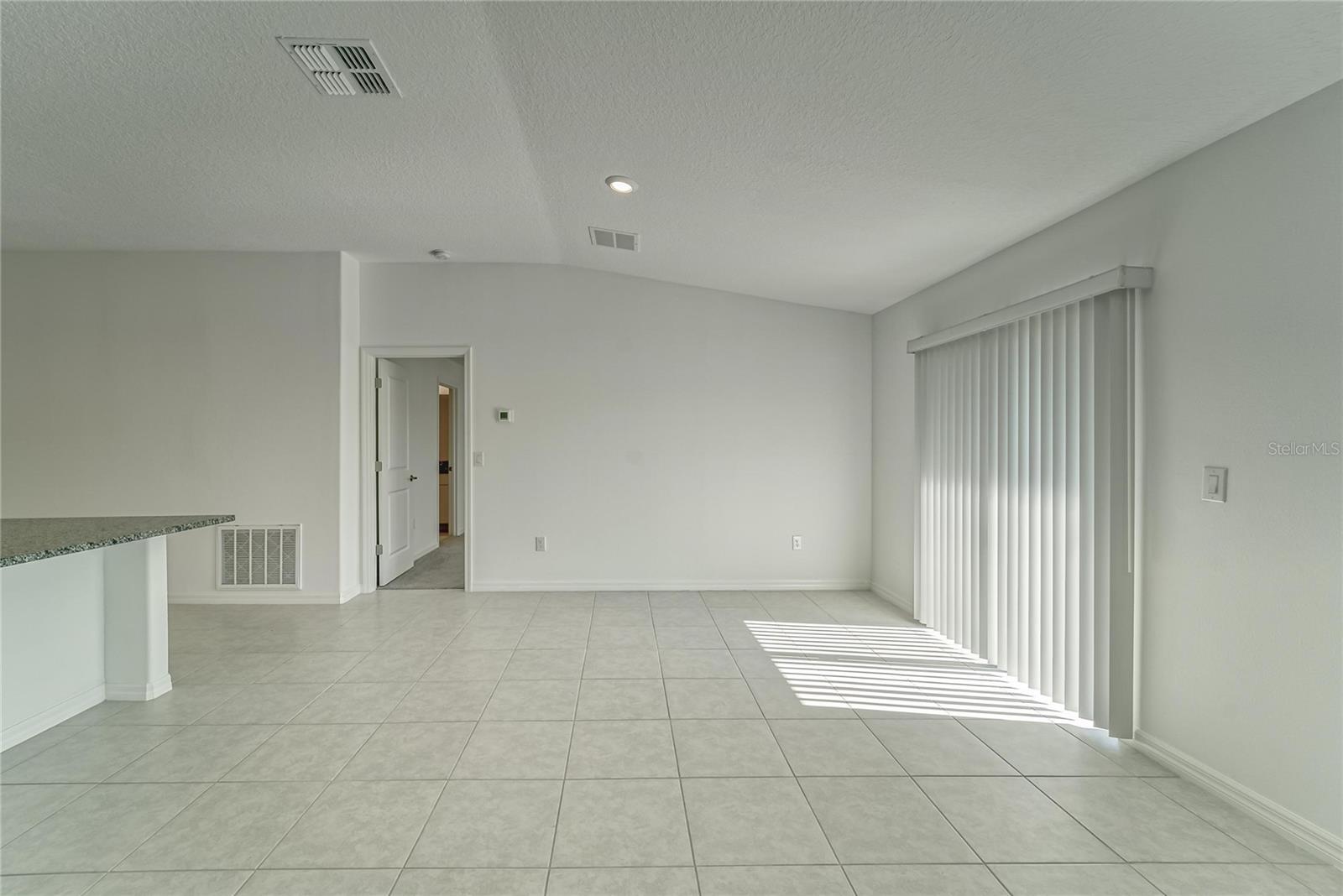 10245 SHADY PRESERVE DR, RIVERVIEW, FL, 33578