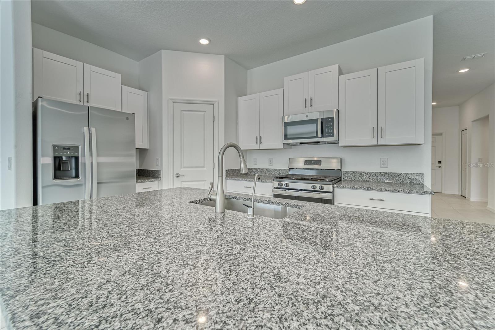 10245 SHADY PRESERVE DR, RIVERVIEW, FL, 33578