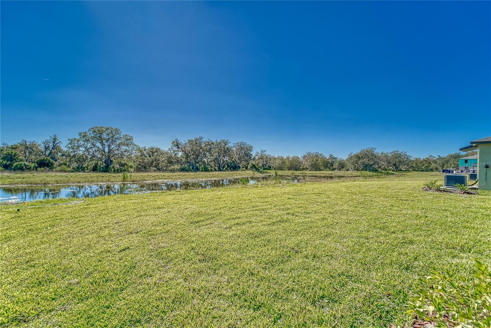 10245 SHADY PRESERVE DR, RIVERVIEW, FL, 33578