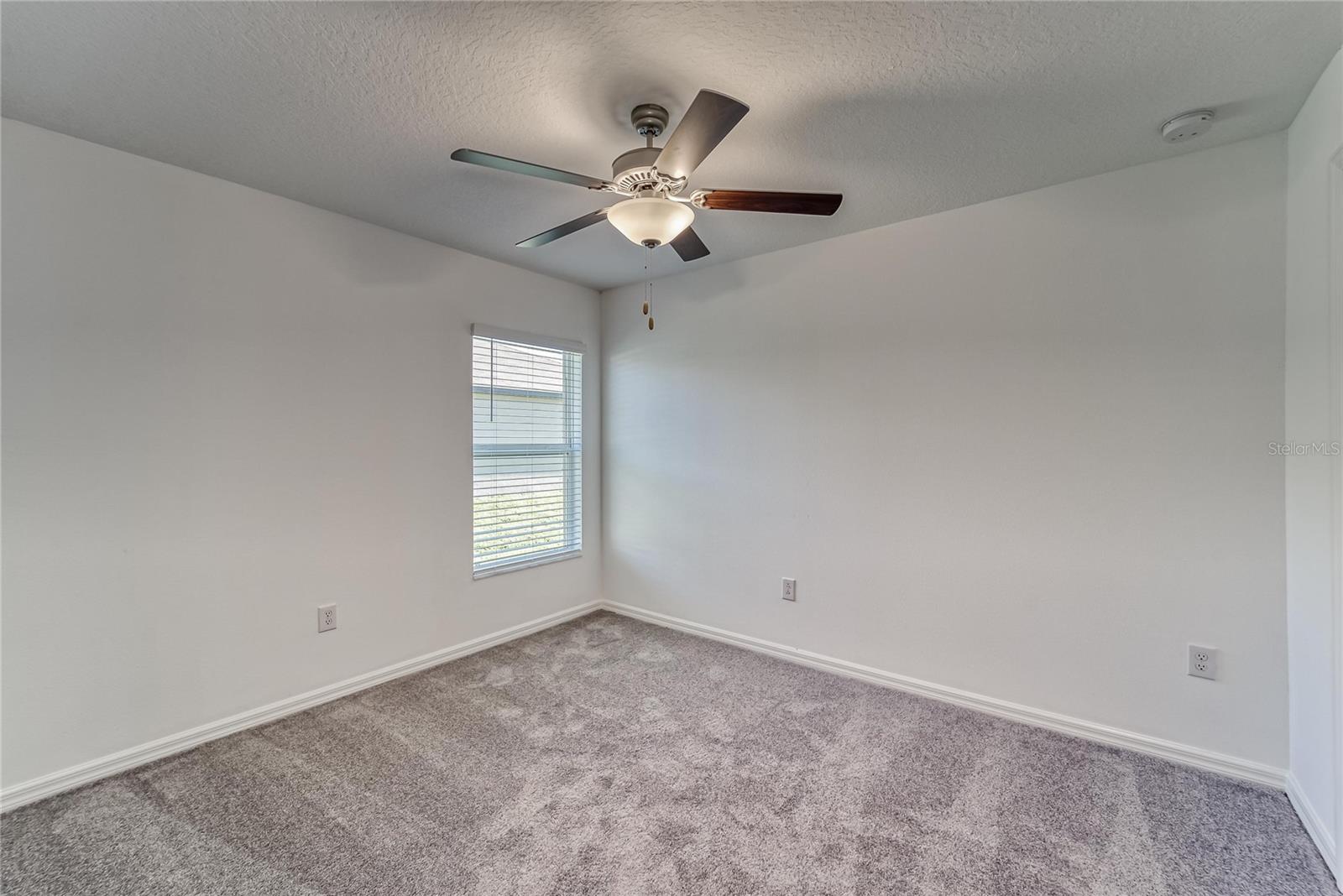 10245 SHADY PRESERVE DR, RIVERVIEW, FL, 33578