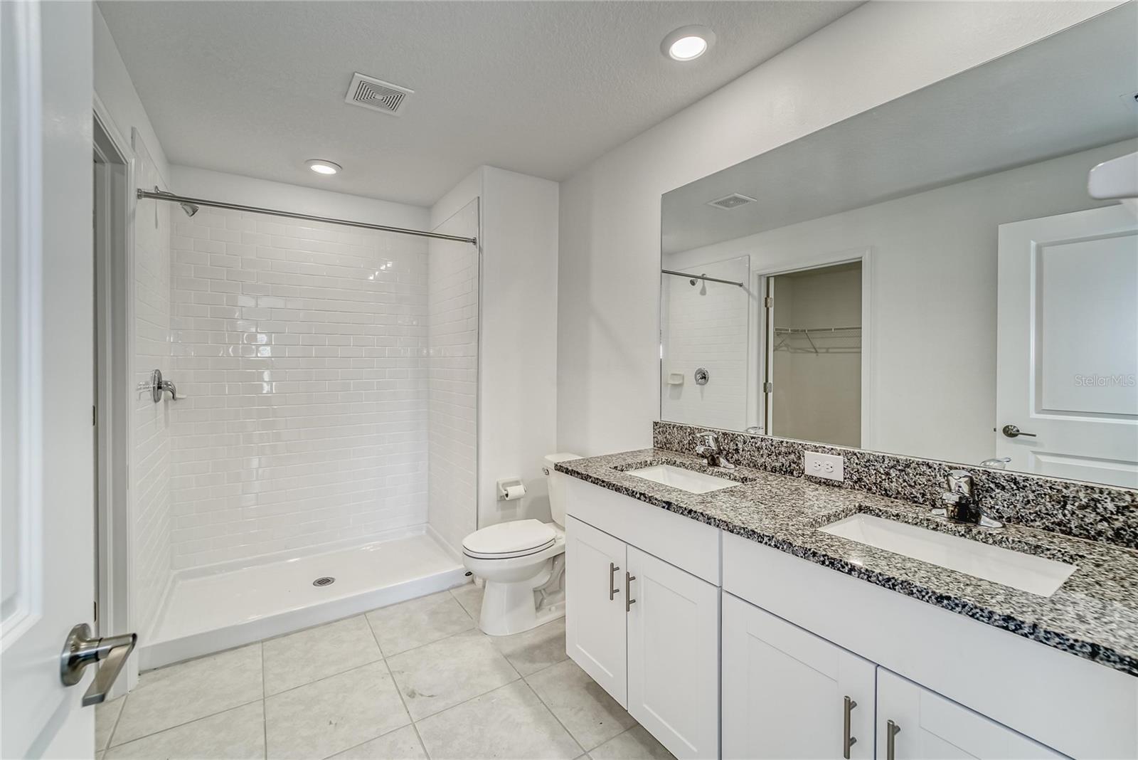 10245 SHADY PRESERVE DR, RIVERVIEW, FL, 33578