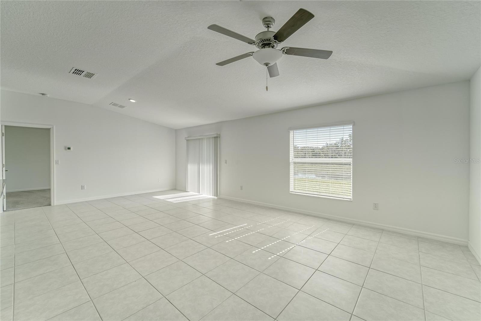 10245 SHADY PRESERVE DR, RIVERVIEW, FL, 33578