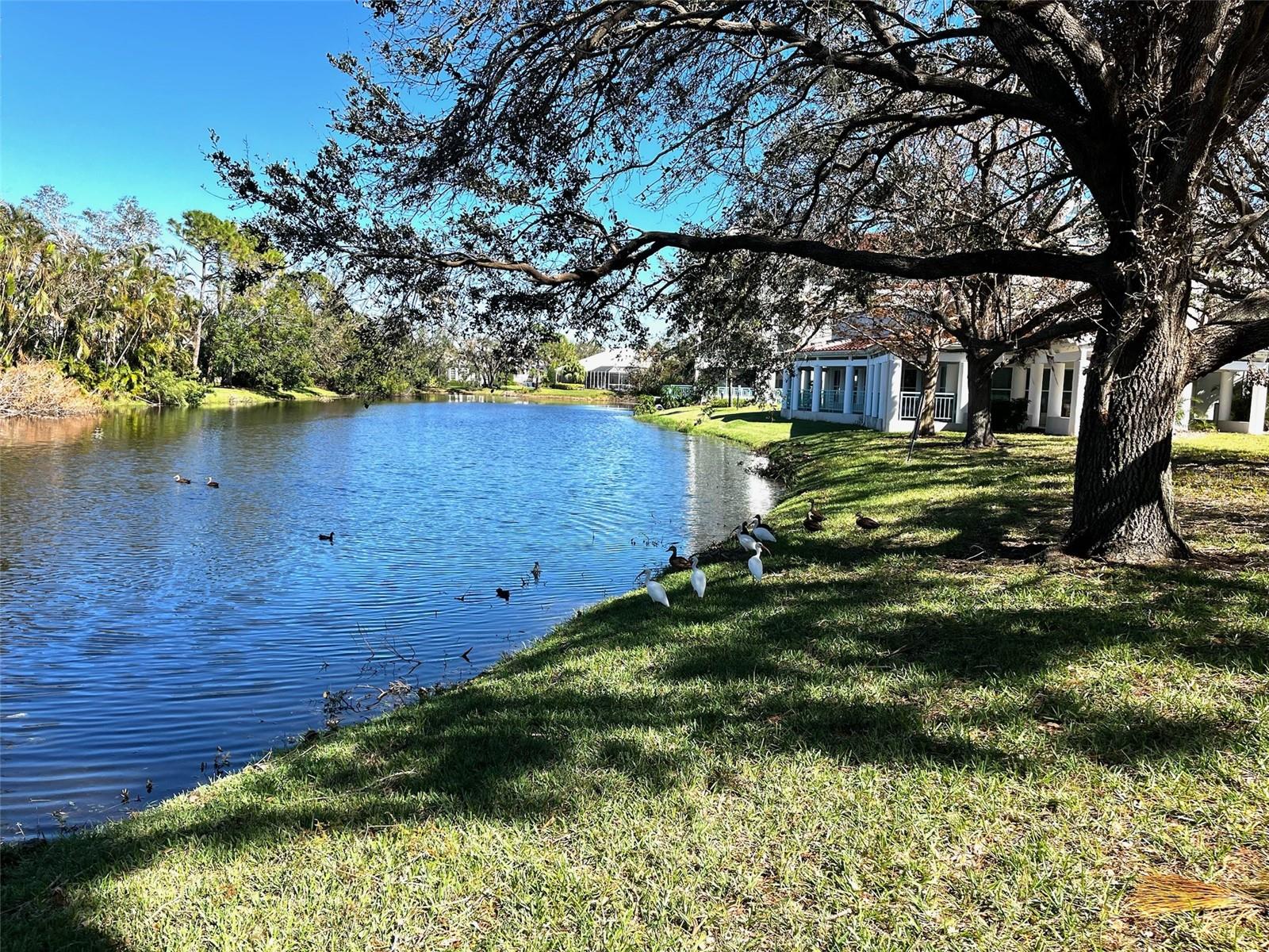 3731 SARASOTA SQUARE BLVD #101E, SARASOTA, FL, 34238