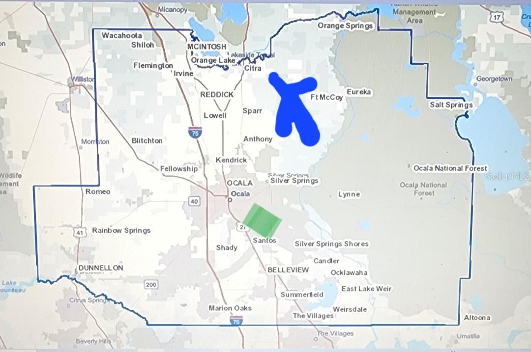 NE 164TH PL E, CITRA, FL, 32113