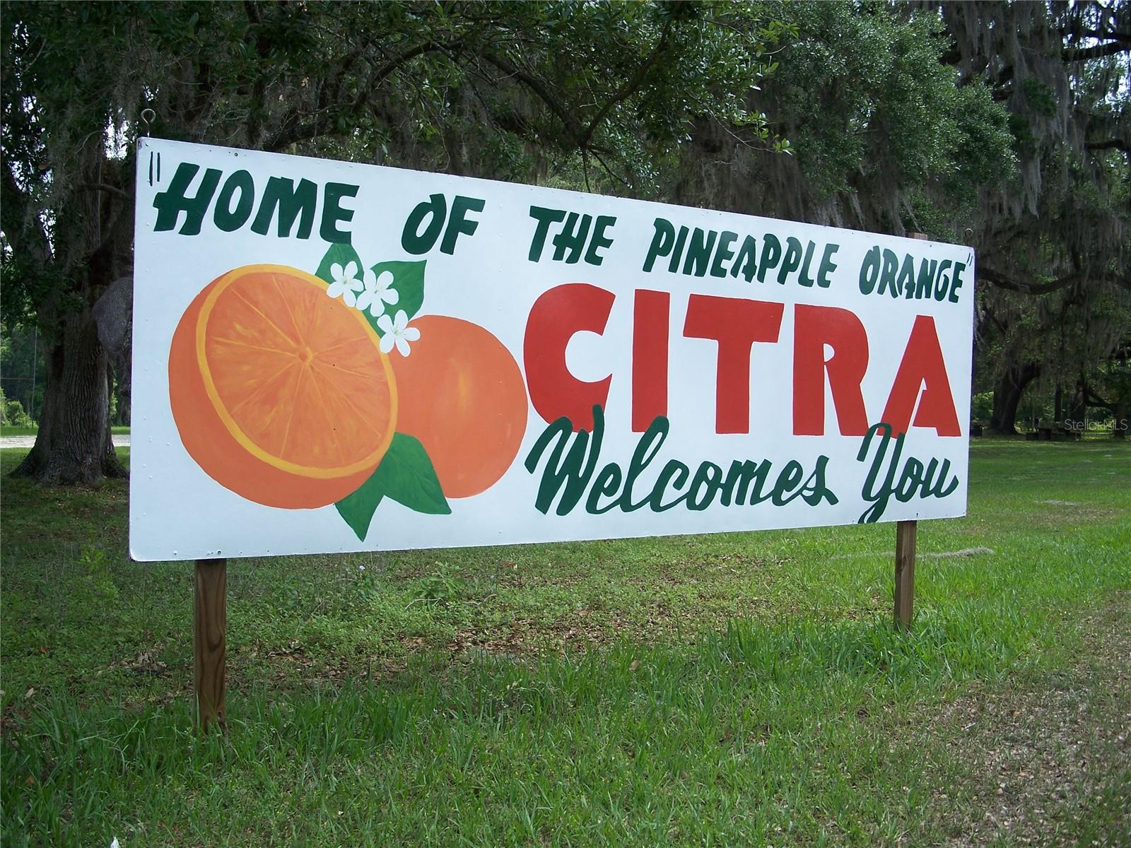 NE 164TH PL E, CITRA, FL, 32113