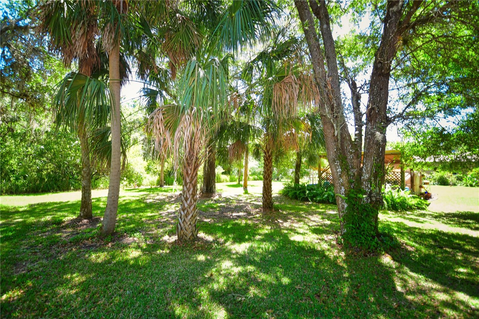 3204 STAGECOACH TRL, WIMAUMA, FL, 33598