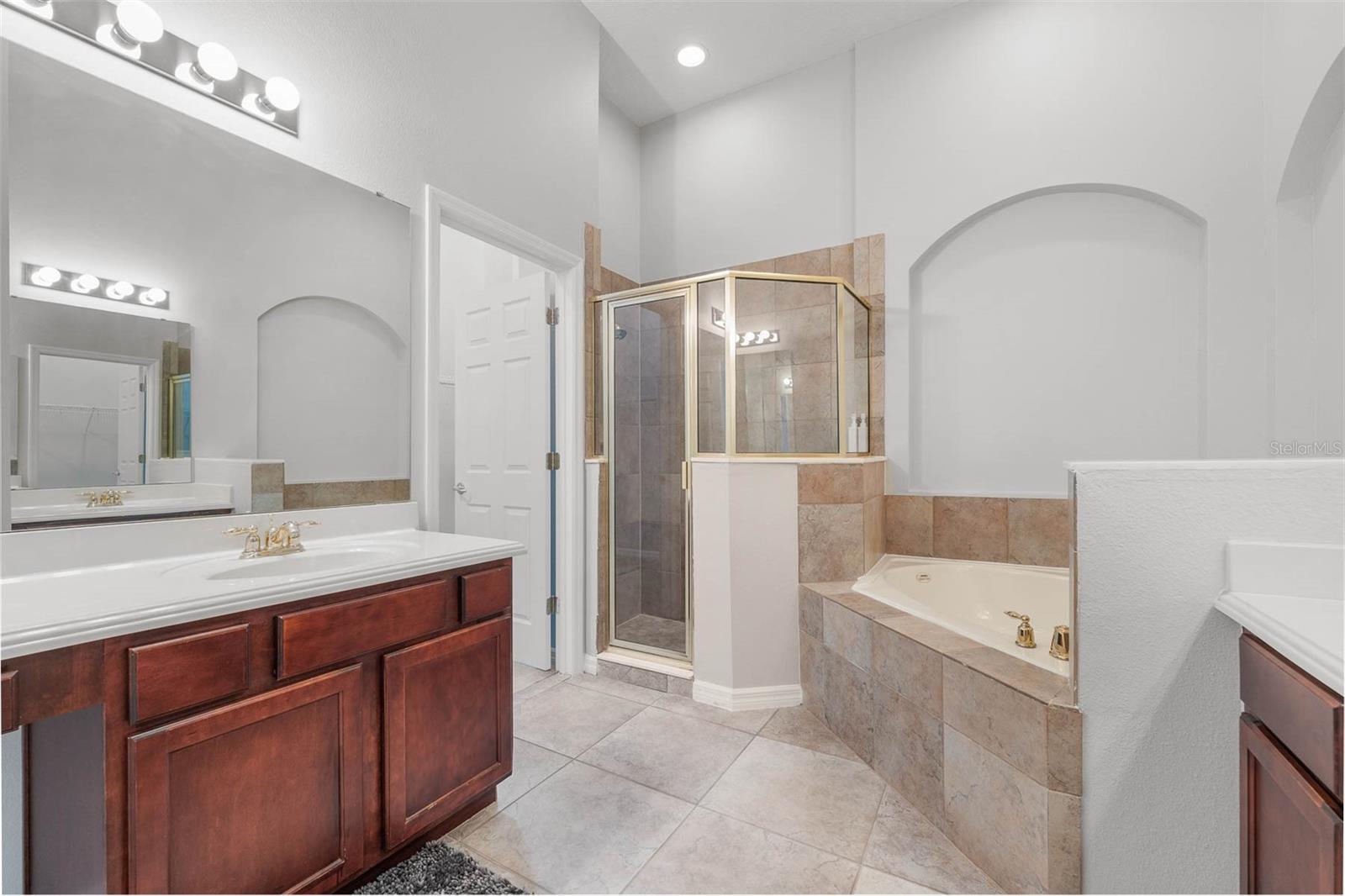11731 BELLA MILANO CT, WINDERMERE, FL, 34786