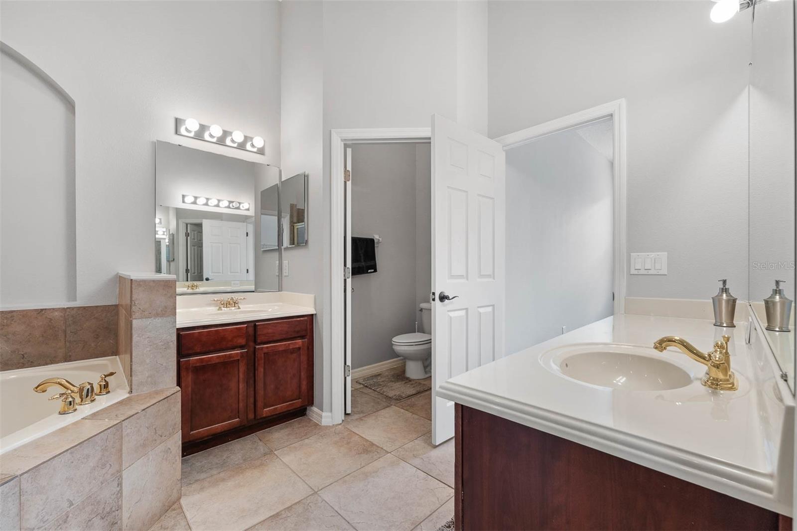 11731 BELLA MILANO CT, WINDERMERE, FL, 34786