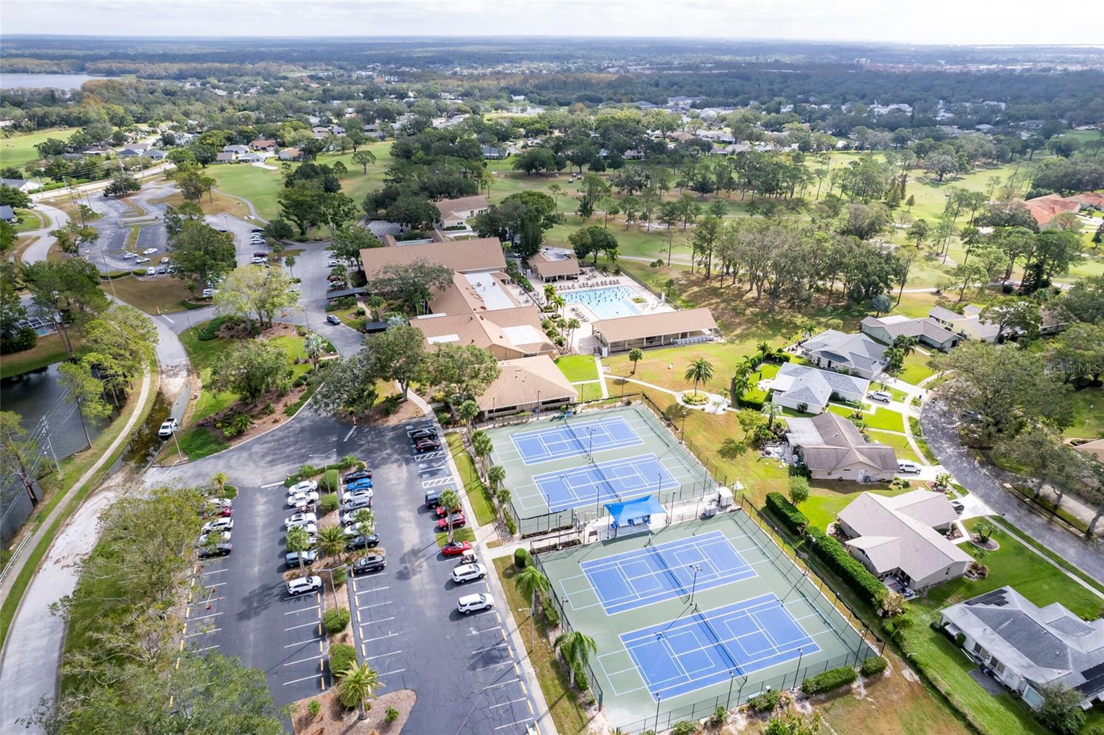 2238 LARK CIR W #D, PALM HARBOR, FL, 34684