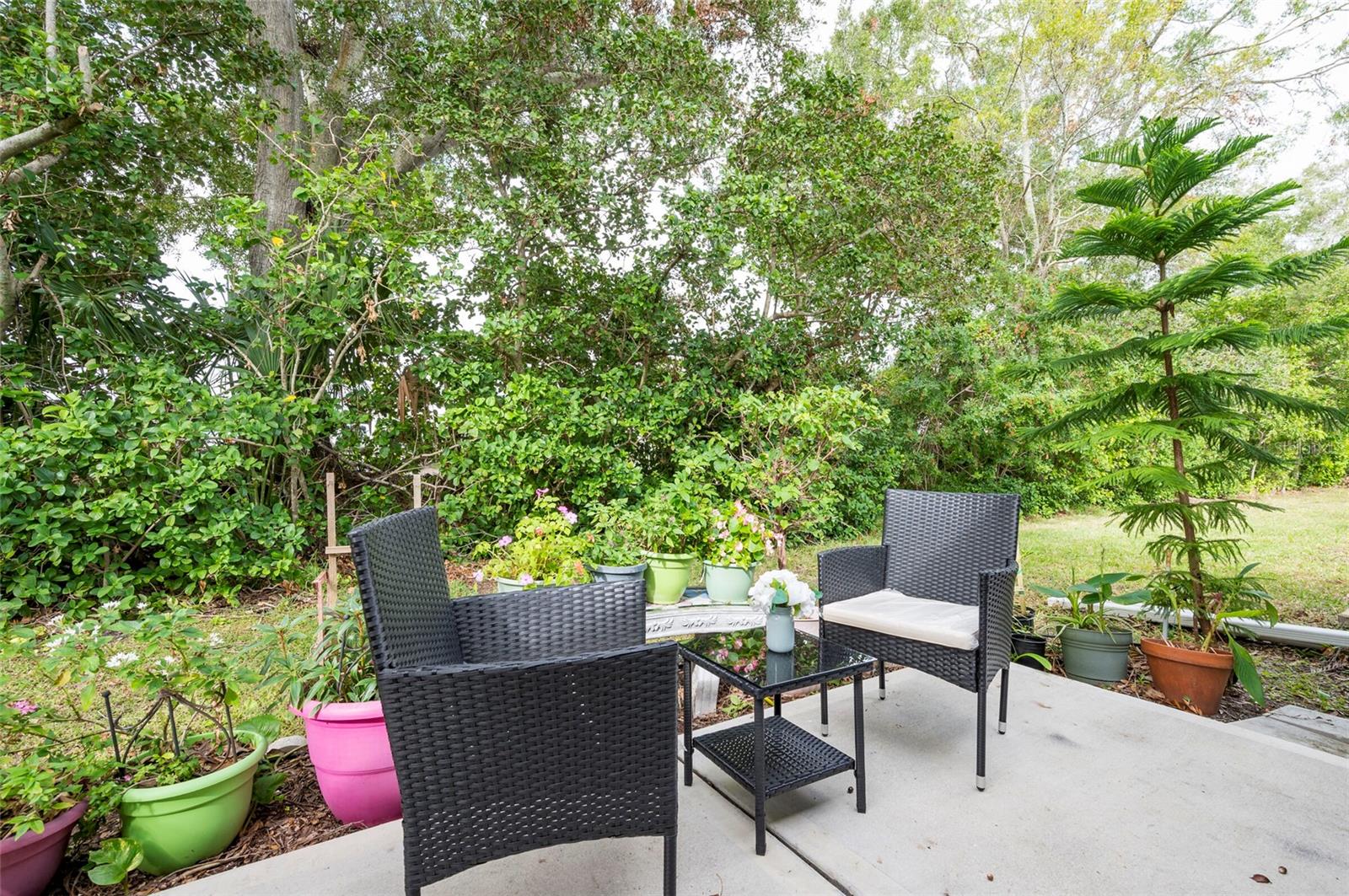 2238 LARK CIR W #D, PALM HARBOR, FL, 34684