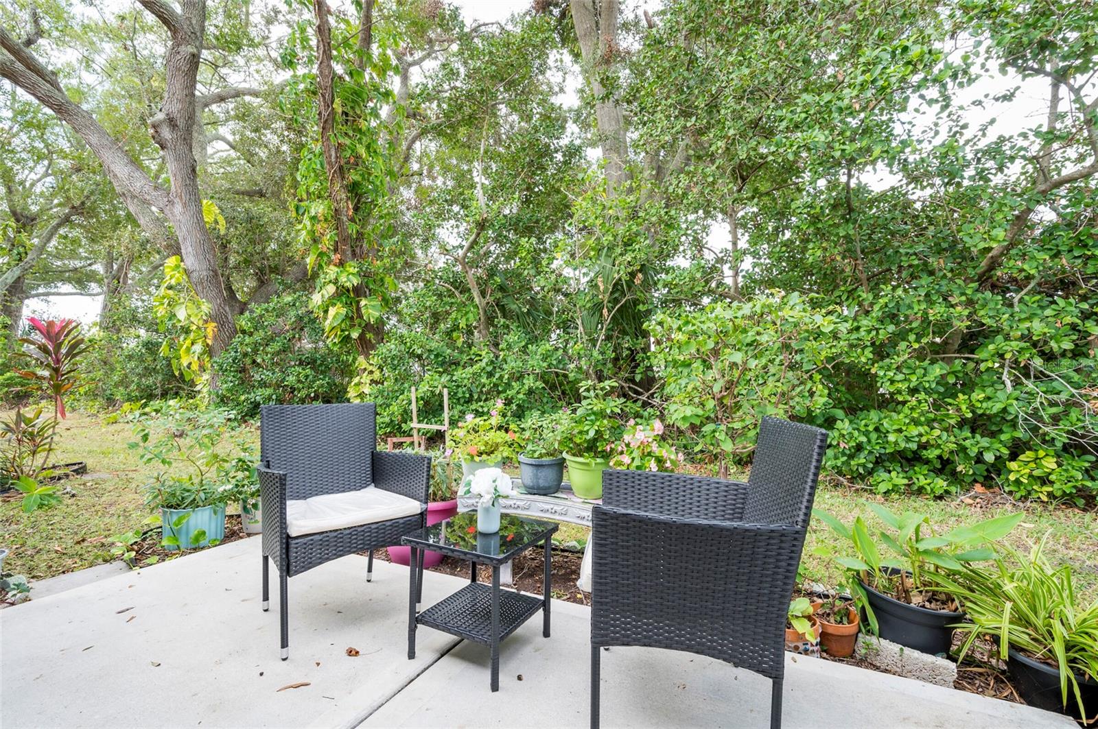 2238 LARK CIR W #D, PALM HARBOR, FL, 34684