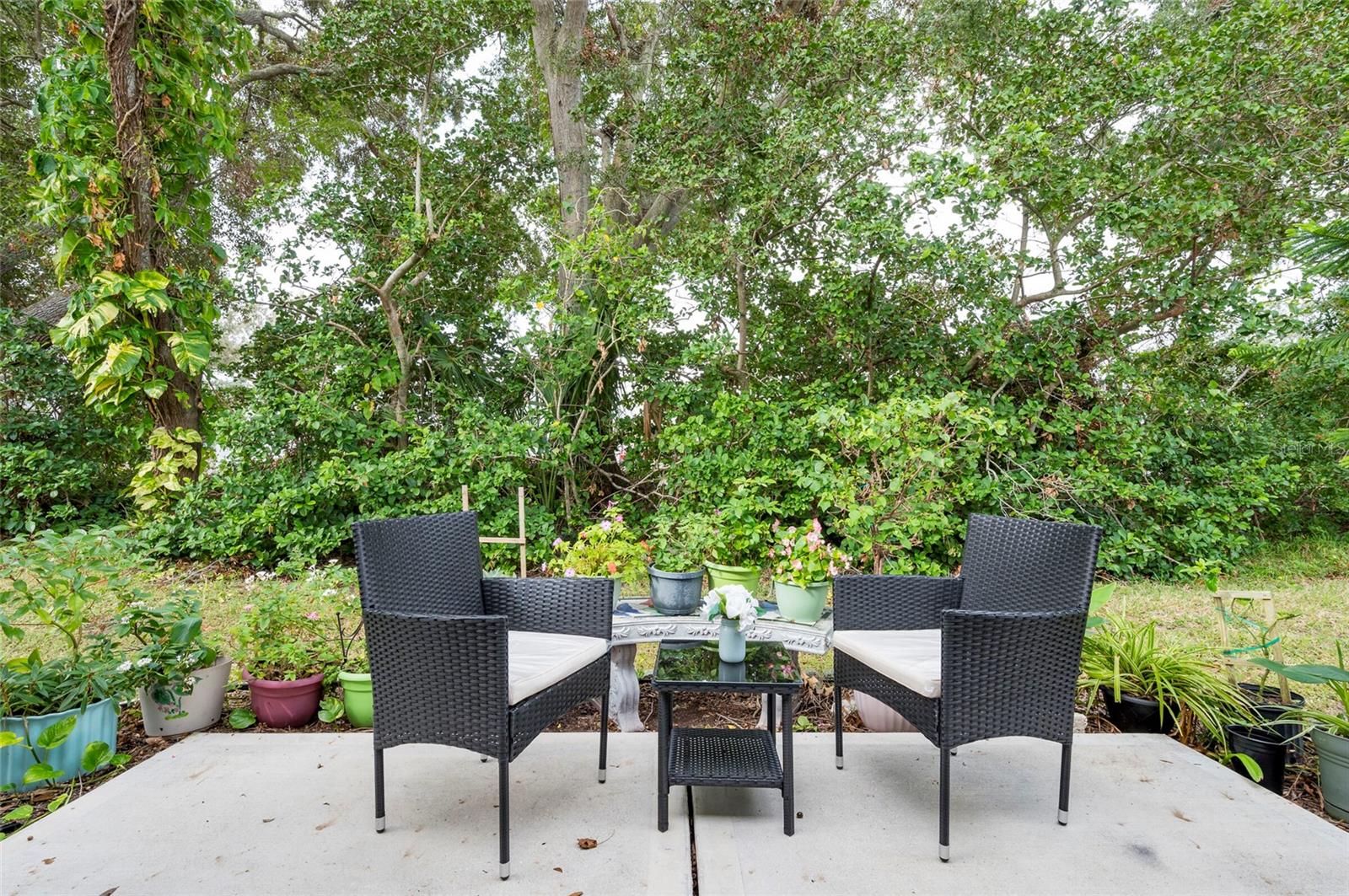 2238 LARK CIR W #D, PALM HARBOR, FL, 34684