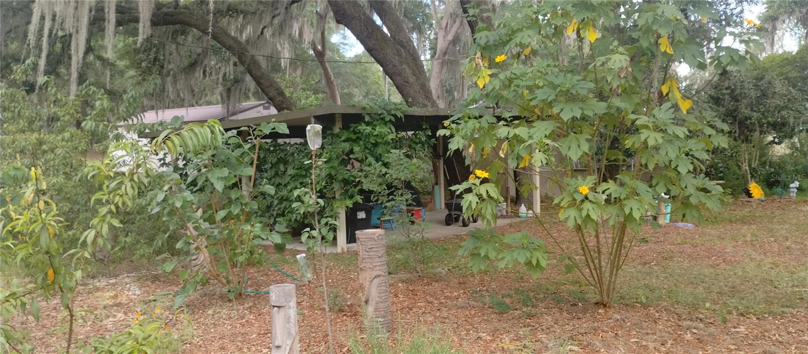 134 LITTLE ORANGE LAKE DR, HAWTHORNE, FL, 32640