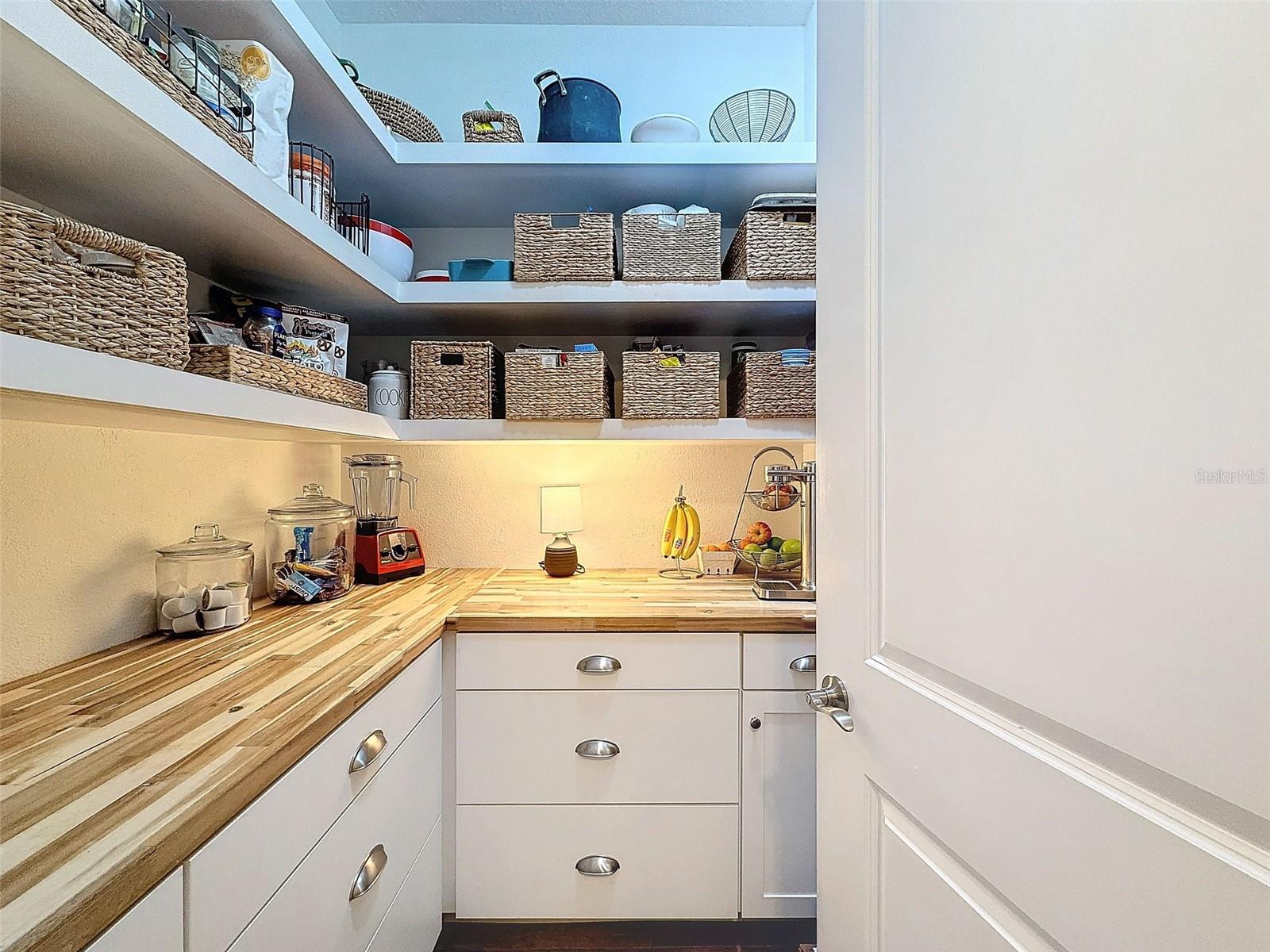 3193 BARBOUR TRL, ODESSA, FL, 33556