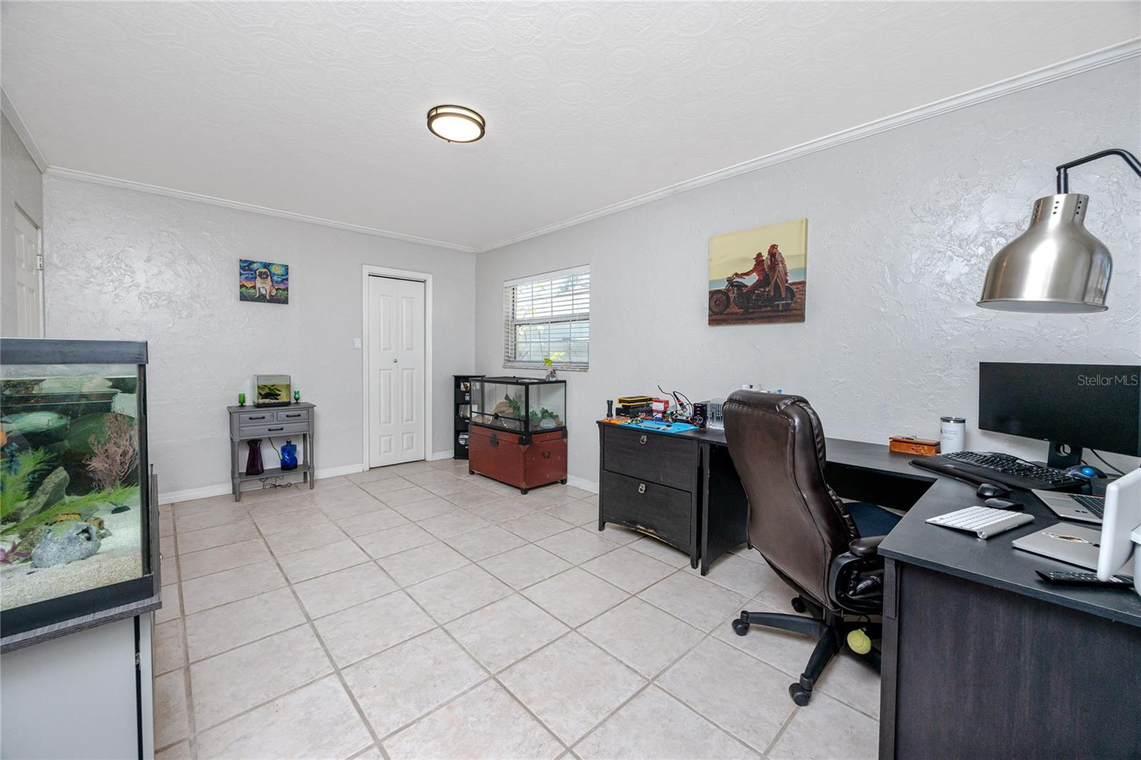 11624 PINEDALE AVE, SEMINOLE, FL, 33772