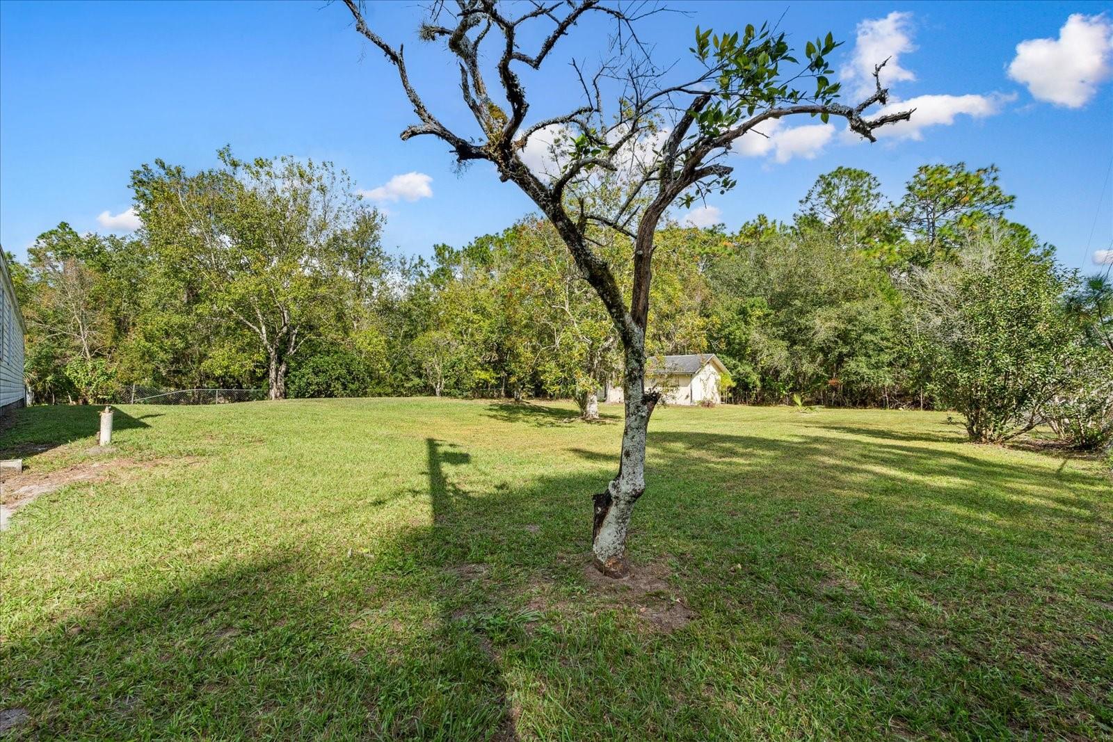 2667 REDWOOD ST, BUNNELL, FL, 32110