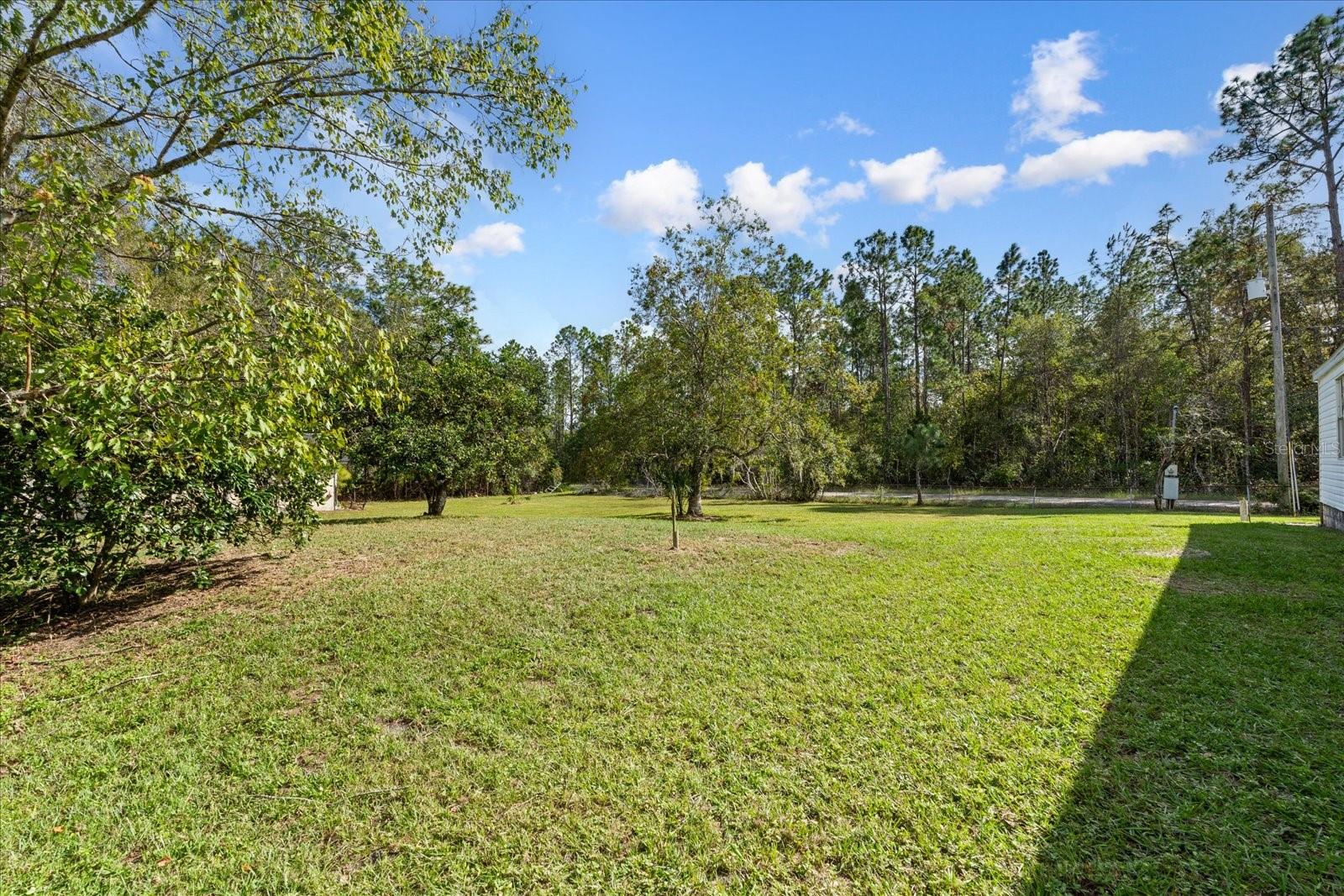 2667 REDWOOD ST, BUNNELL, FL, 32110