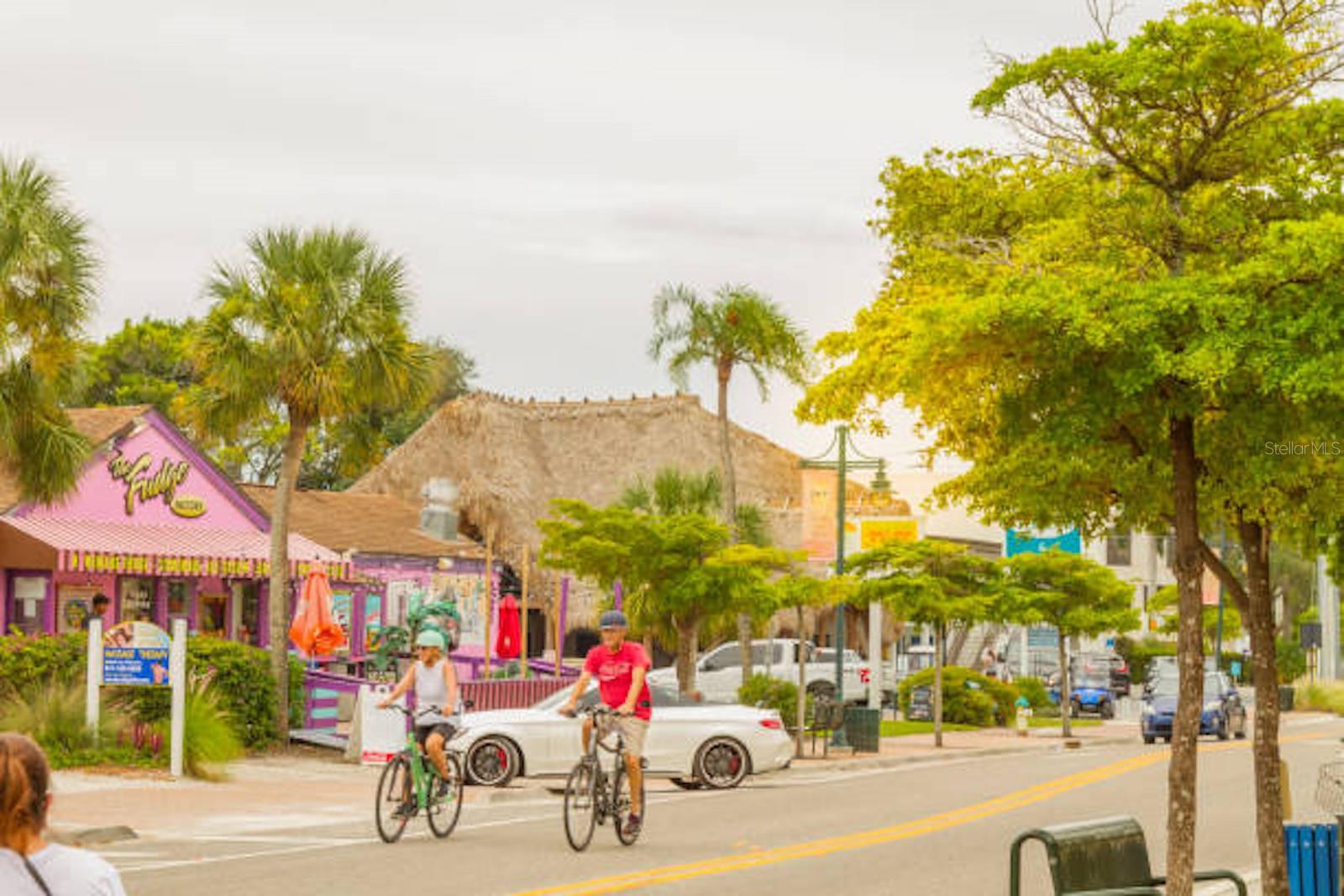1132 CRESCENT ST, SARASOTA, FL, 34242
