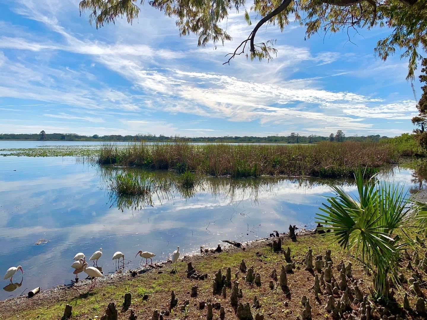 2065 ISLE ROYALE CT SE #143, WINTER HAVEN, FL, 33880