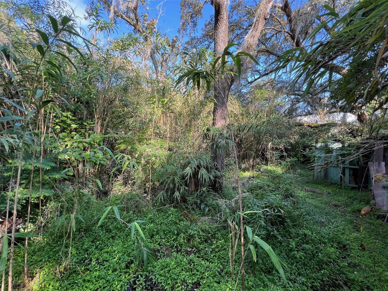 9431 PONTIAC ST, NEW PORT RICHEY, FL, 34654
