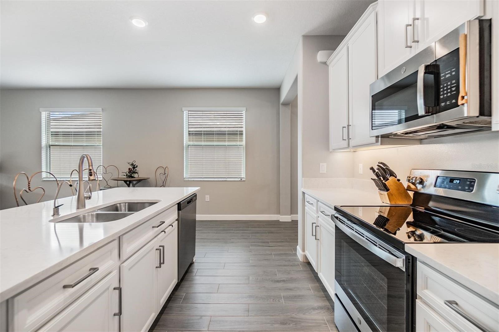 31603 MAGNA GULF LOOP, SAN ANTONIO, FL, 33576